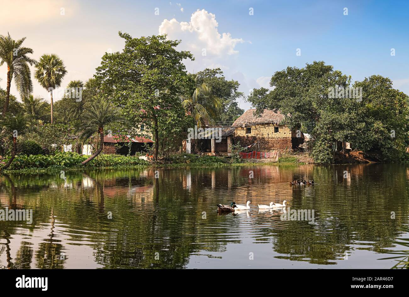 Paesaggio rurale dell'India con le capanne di fango di vista e le palme e le anatre che nuotano in un stagno del villaggio al tramonto. Foto Stock
