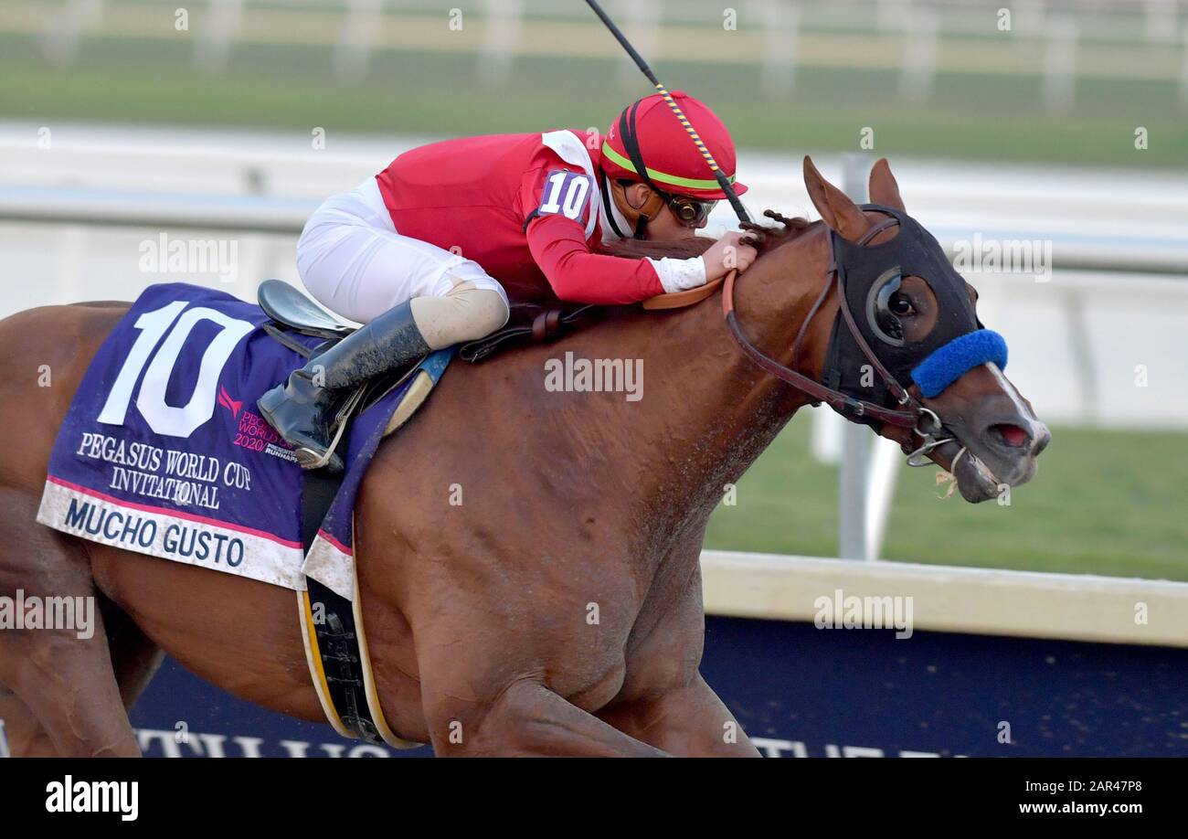 Hallandale, Stati Uniti D'America. 25th Gen 2020. Hallandale, FLORIDA - 25 GENNAIO: Mucho gusto con Irad Ortiz in su vince la Coppa del mondo di Pegasus al parco di Gulfstream il 25 gennaio 2020 a Hallandale, Florida Persone: Mucho gusto, Irad Ortiz Jr credito: Storms Media Group/Alamy Live News Foto Stock