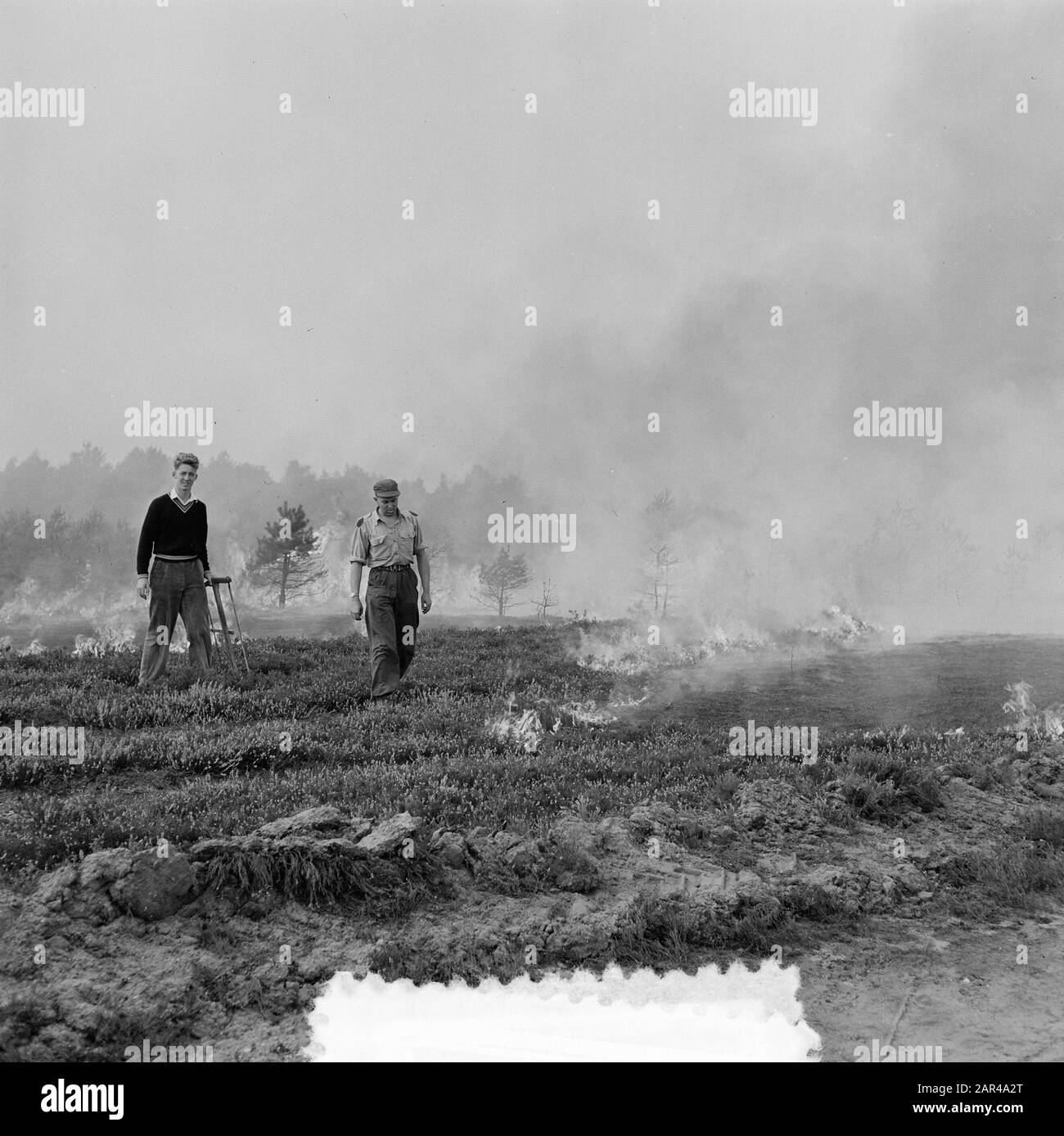 Grande incendio di brughiera sul Veluwe (Oldebroek) Data: 1 settembre 1955 Località: Oldebroek, Veluwe Foto Stock