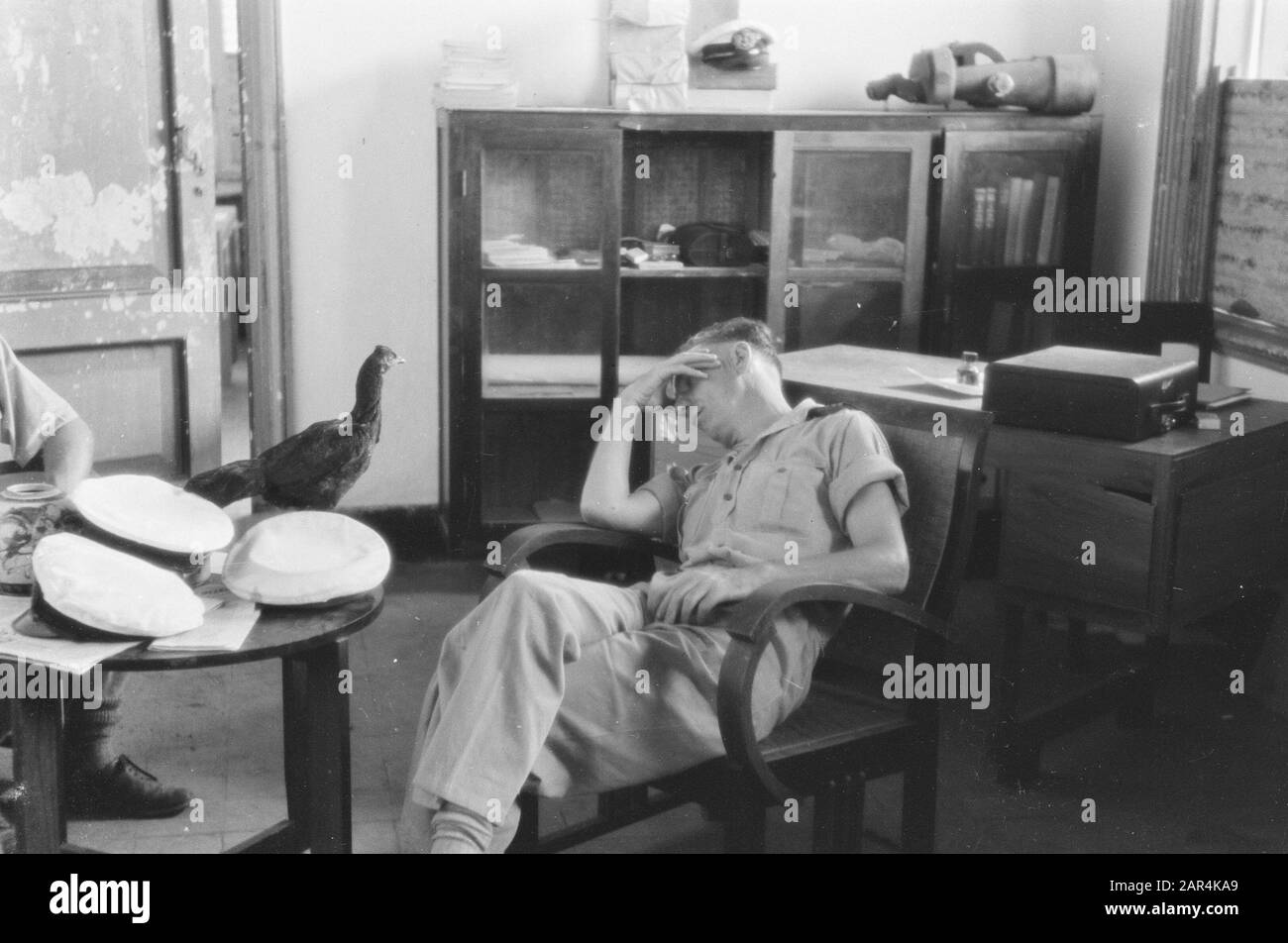 Un ufficiale del governo o marineman si stanca in una sedia, mentre un pollo [?] su un tavolo. Sulle tabelle anche 3 CAPS Data: 1947 Località: Indonesia, Indie Orientali Olandesi Foto Stock