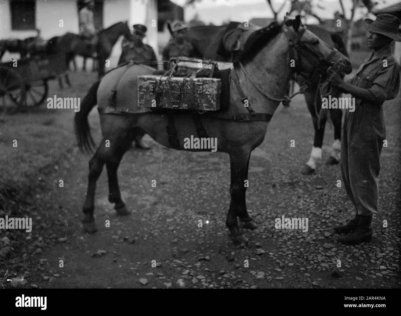Deposito di cavalli a Bandoeng [un cavallo di carico con le scatole di munizioni] Data: Dicembre 1948 luogo: Bandoeng, Bandung, Indonesia, Java, Indie orientali olandesi Foto Stock