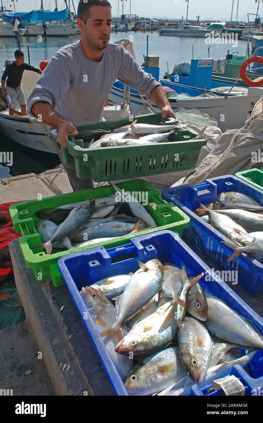 Pescatore con la sua cattura di pesce in Acco, Israele Foto Stock