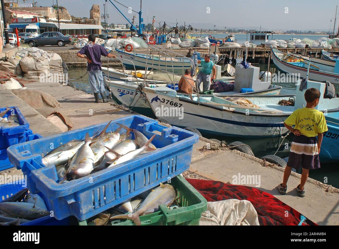 Mattina regolare nel vecchio porto di Acco, Israele Foto Stock