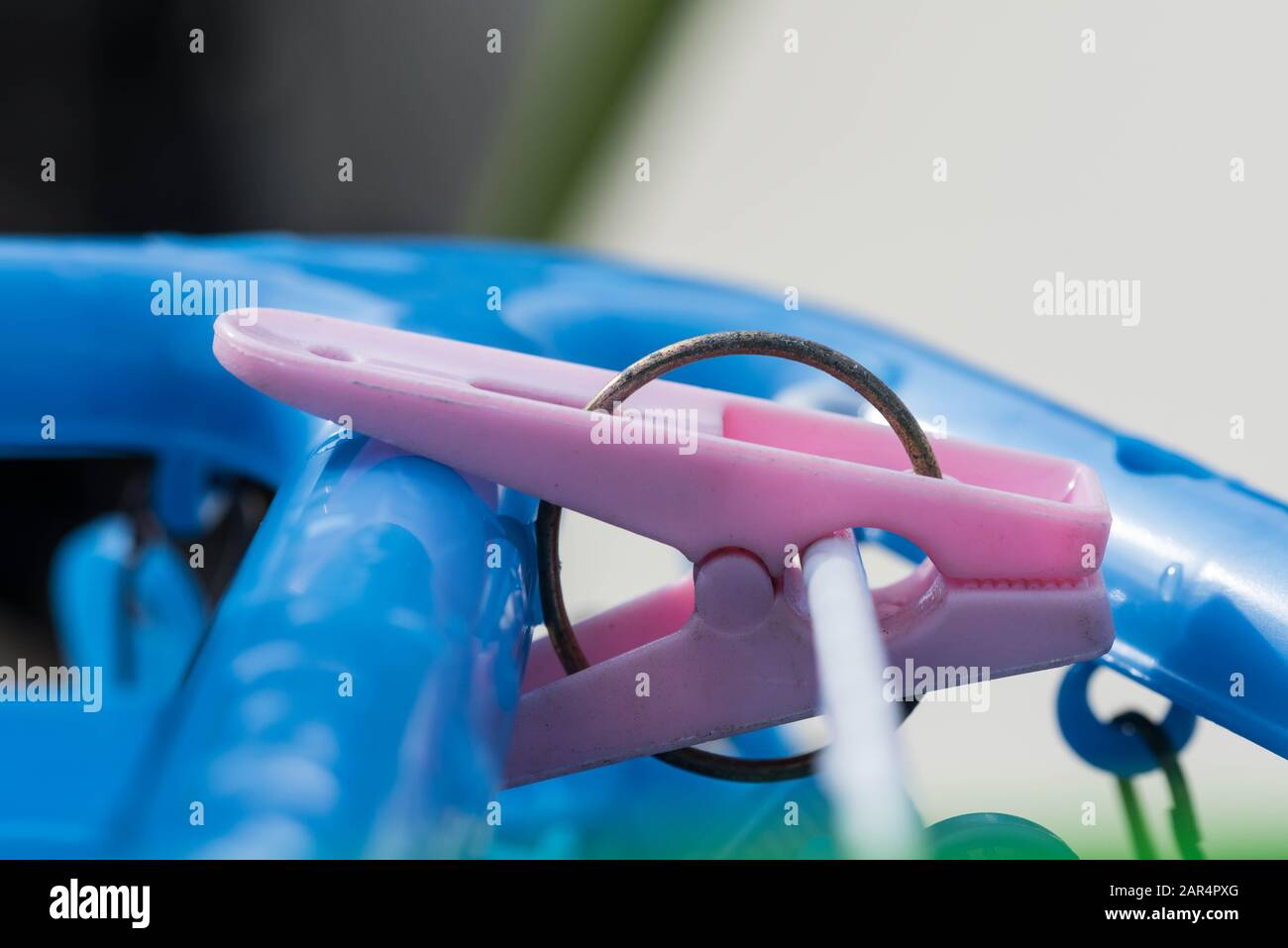 Gancio con perno di aggancio in plastica rosa. Primo piano macro shot. Foto Stock