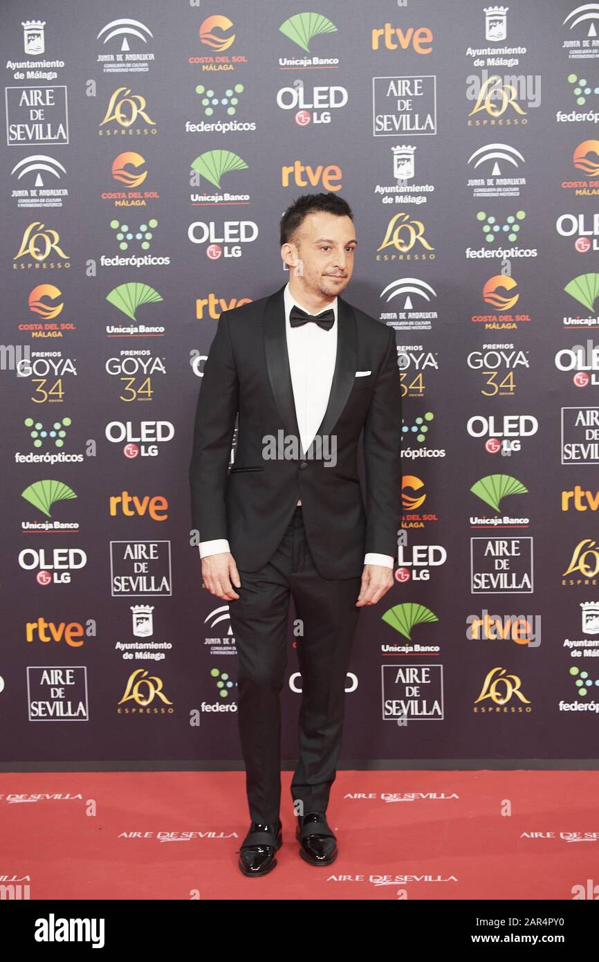 25 Gennaio 2020, Malaga, Andalusia, Spagna: Alejandro Amenabar Partecipa Al 34th Goya Cinema Awards 2020 - Red Carpet Al Jose Maria Martin Carpena Stadium Il 26 Gennaio 2020 A Malaga, Spagna (Credit Image: © Jack Abuin/Zuma Wire) Foto Stock