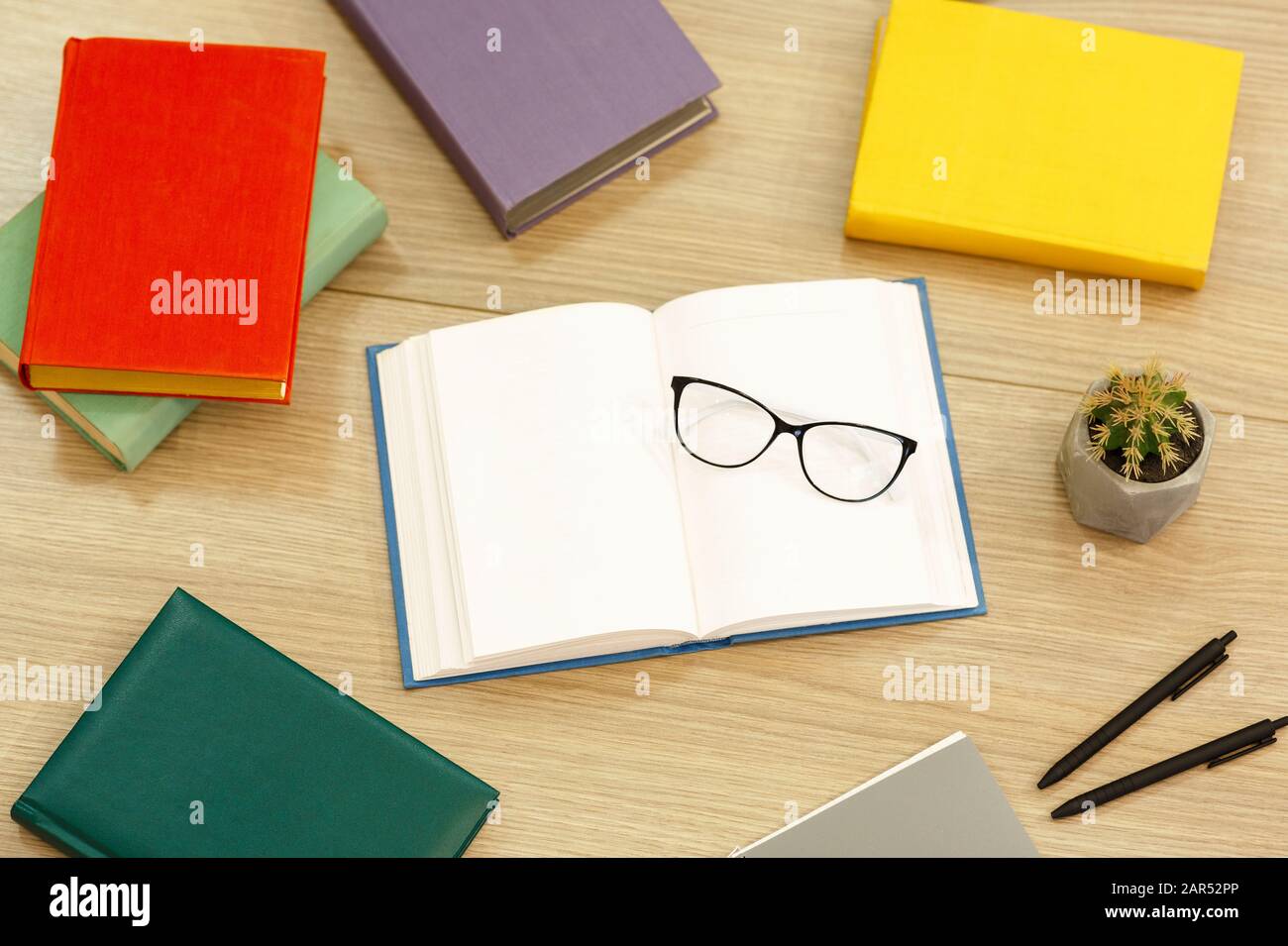 Libro aperto primo piano con bicchieri e cactus Foto Stock