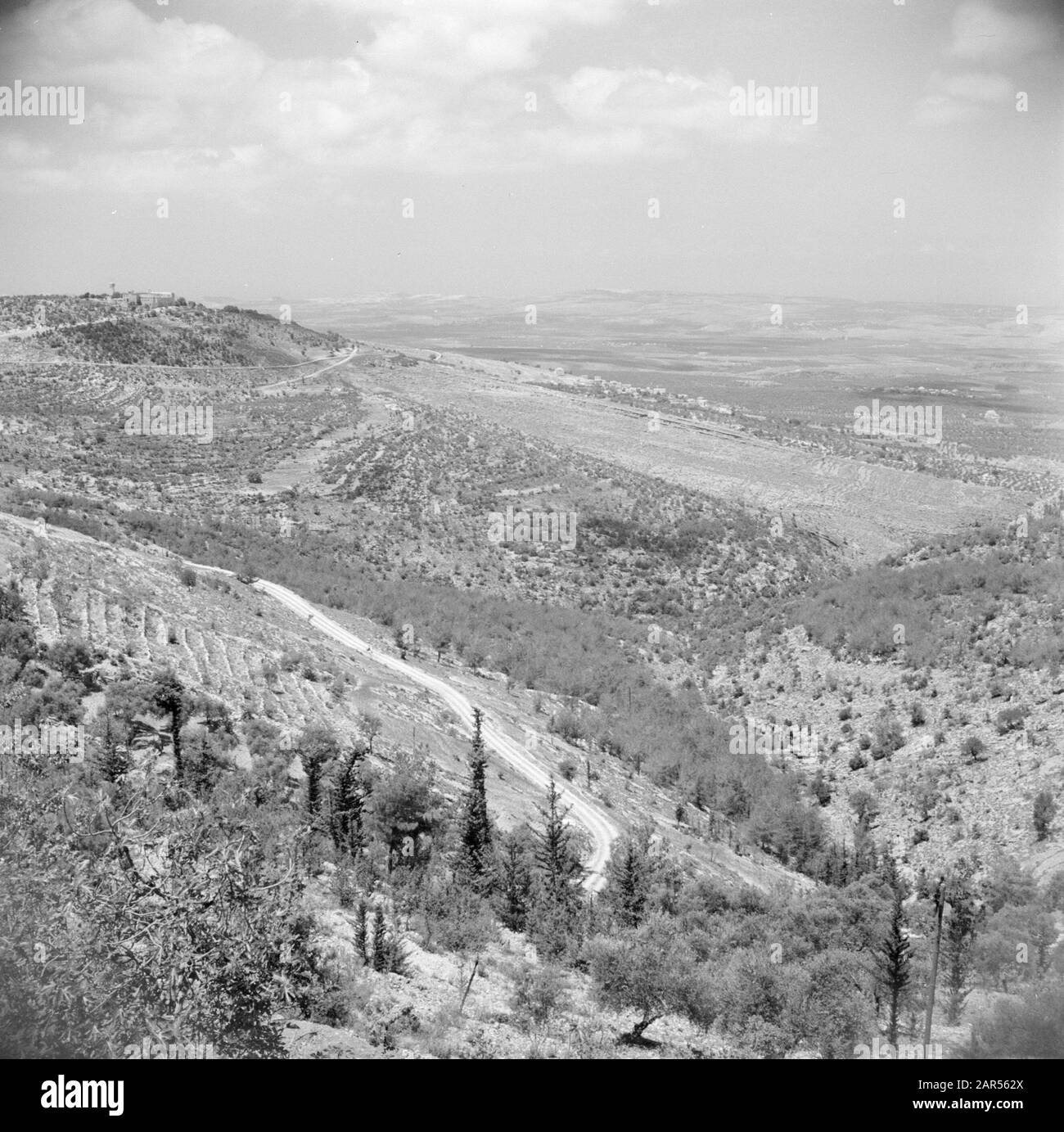 Medio Oriente 1950-1955: Libano Pendii e terrazze vicino Tripoli Data: 1950 luogo: Libano, Tripoli Parole Chiave: Montagne, panorama, terrazze Foto Stock