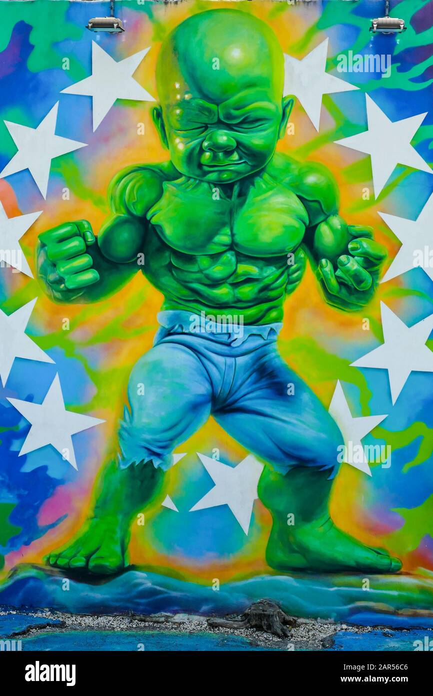 Winwood Park Street Art Miami Stati Uniti 23/07/2017 Foto Stock