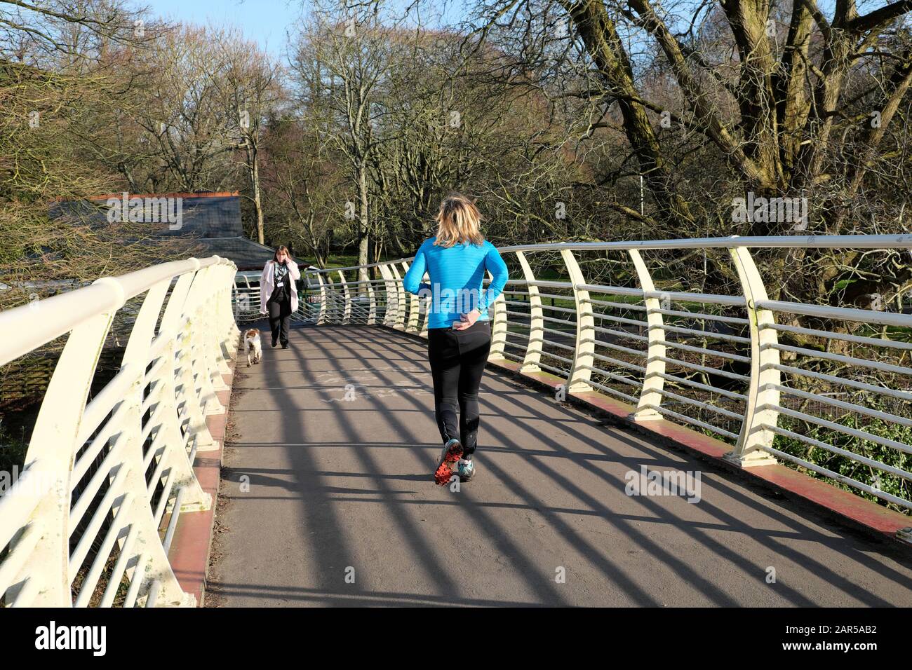 Vista posteriore del corridore donna sul ponte pedonale che tira il telefono cellulare nella tasca posteriore dei pantaloni da running lycra mentre si jogging nel Bute Park Cardiff Wales Foto Stock