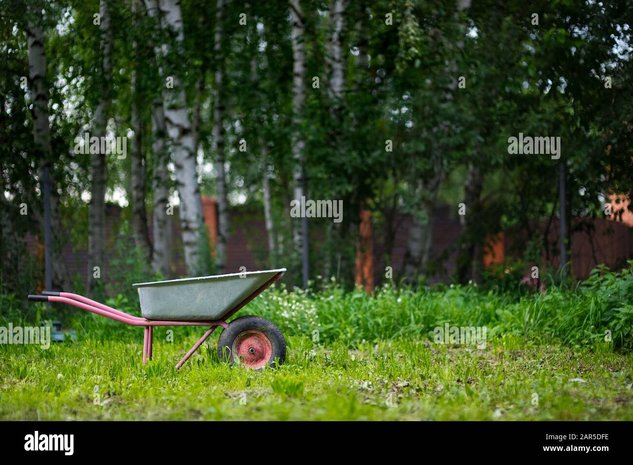 carrello da giardino in erba alta nel cortile sullo sfondo di alberi Foto Stock