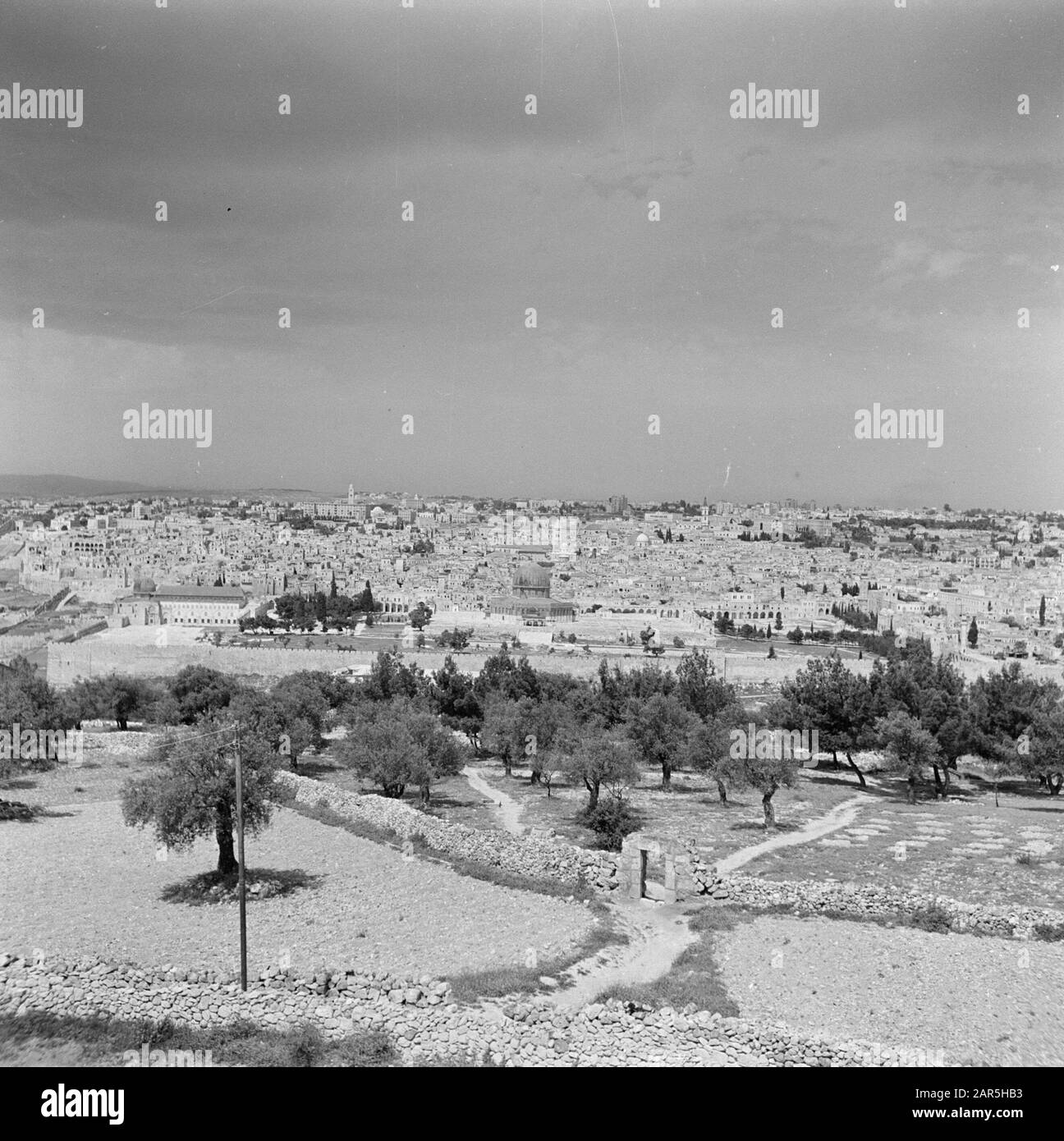 Israele 1948-1949 Gerusalemme. Vista dal Monte degli Ulivi sul Kedrondal in direzione ovest sul Monte del Tempio con la cupola della roccia (al Haram esh Sharif) la città vecchia Data: 1948 posizione: Israele, Gerusalemme, Kedrondal, Monte degli Ulivi, Monte del Tempio Parole Chiave: architettura, alberi, edifici, colline, edifici di chiesa, torri di chiesa, ecc. monumenti, moschee, panorami, mura della città, urbanismo, torri Foto Stock