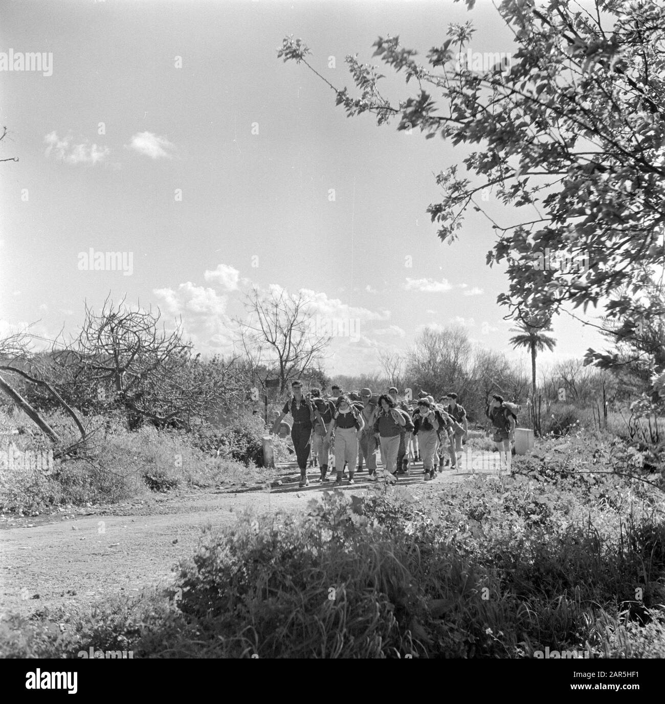 Israele 1948-1949: Viaggiare giovani giovani spostarsi da kibbutz a kibbutz per conoscere il paese e aiutare raccolto Data: 1948 luogo: Israele Parole Chiave: Gioventù, lavoratori agricoli, strade di campagna, viaggio, pedonale Foto Stock