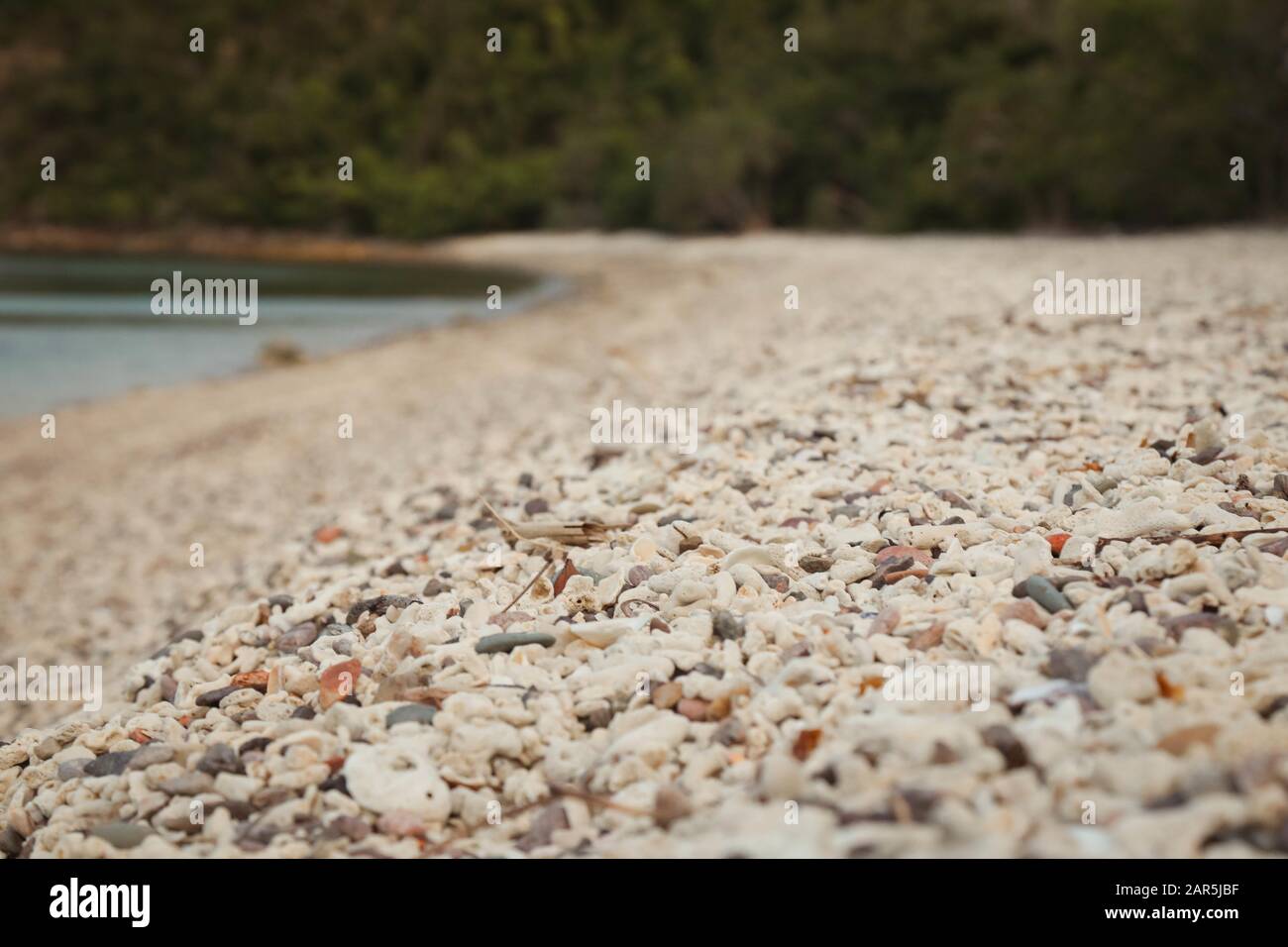 Primo piano di una spiaggia coperta di pietre circondata dal verde e il  mare con uno sfondo sfocato Foto stock - Alamy