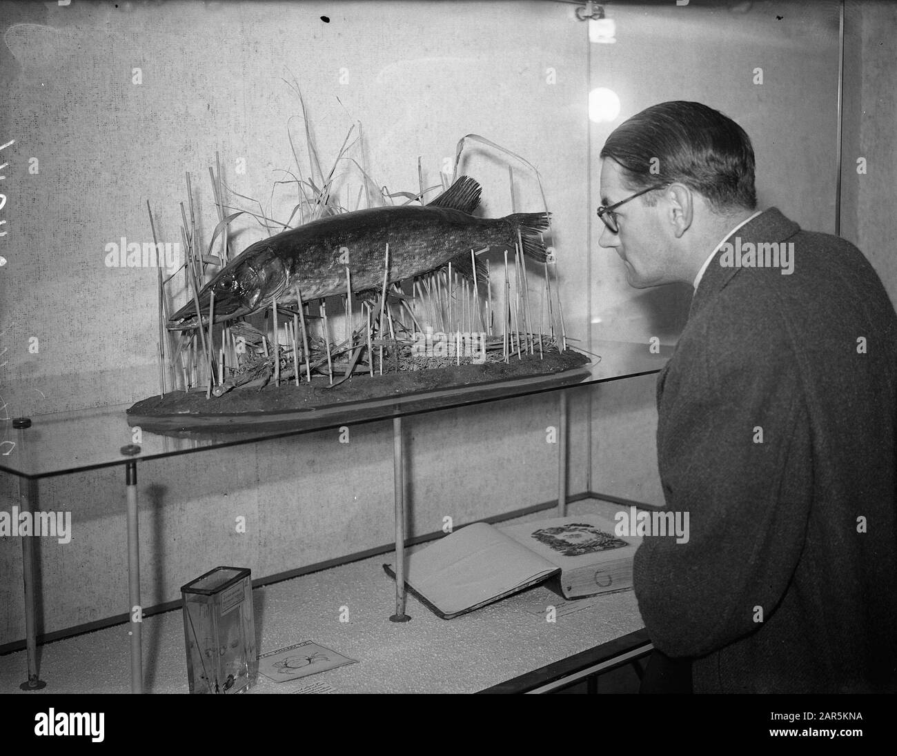 Mostra Amstelstroom (Museo Stedelijk) Data: 10 Ottobre 1947 Parole Chiave: Musei, Mostre Foto Stock