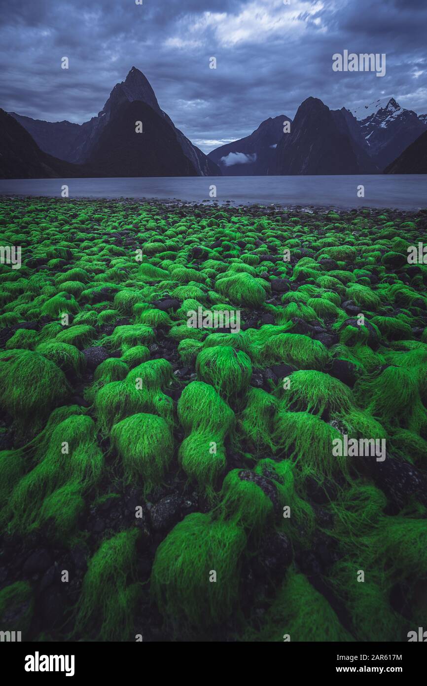 Tramonto mozzafiato a Milford Sound, Nuova Zelanda. Foto Stock