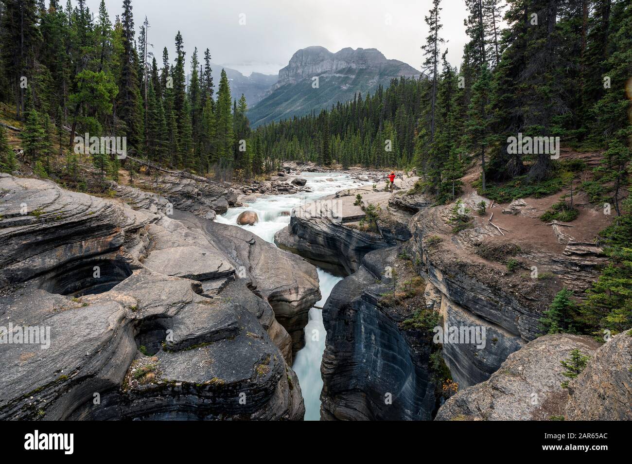 Viaggiatori che si trovano sulla roccia nel Mistaya Canyon e nella pineta presso Icefields Parkway, Alberta, Canada Foto Stock