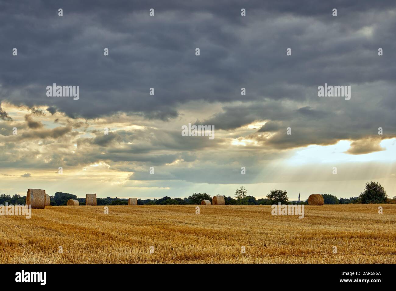 Immagine di rotoli di paglia in un campo. Foto Stock