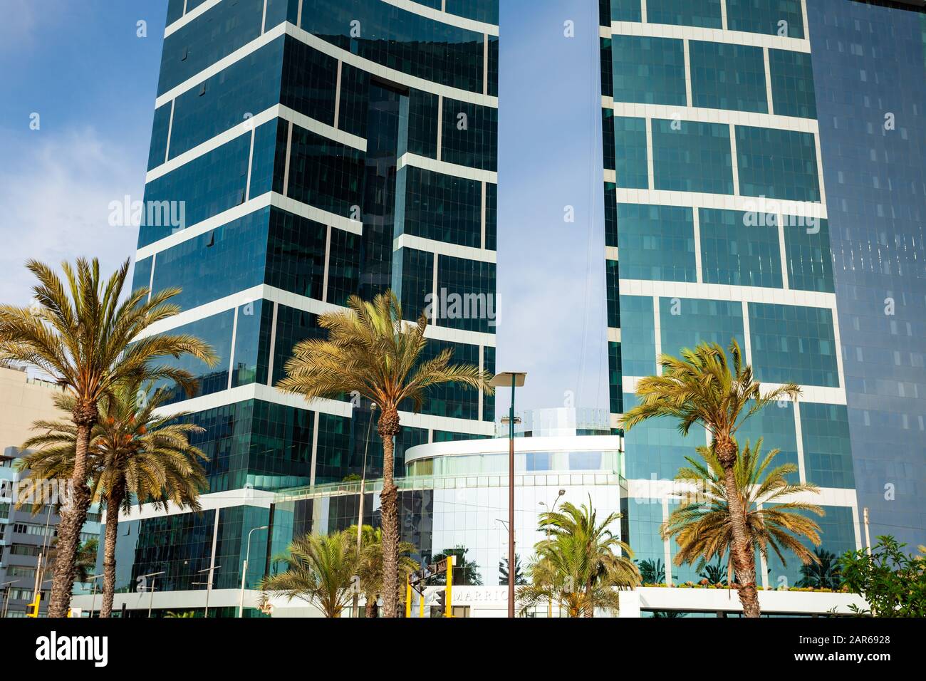 Palme sullo sfondo di alti edifici, Lima, Perù 2019-12-07. Foto Stock