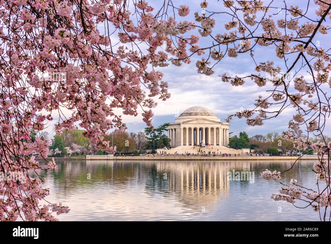 Washington, DC con il bacino di marea e Jefferson Memorial durante la primavera. Foto Stock