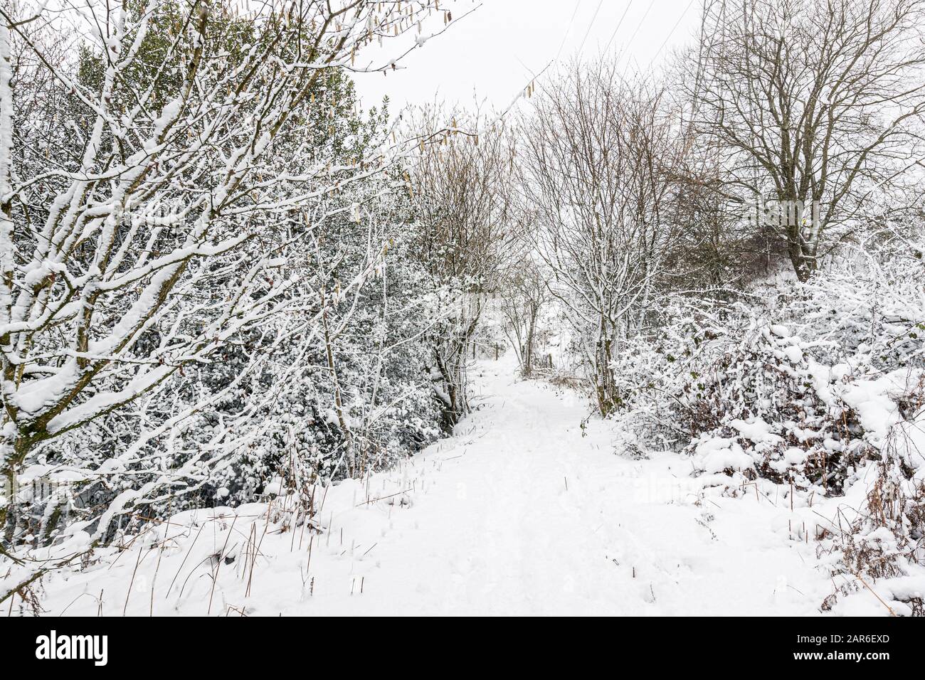 Condizioni Di Cattivo Tempo In Campagna Foto Stock