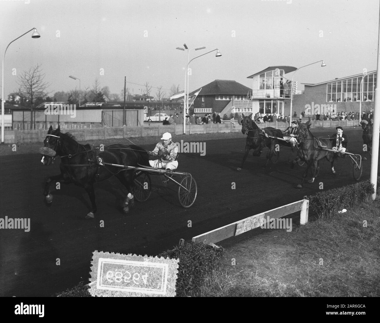 Wintercourses Tango Price Hilversum, Quick Fire i Data: 21 Novembre 1954 luogo: Hilversum Parole Chiave: Trot- and racing Foto Stock