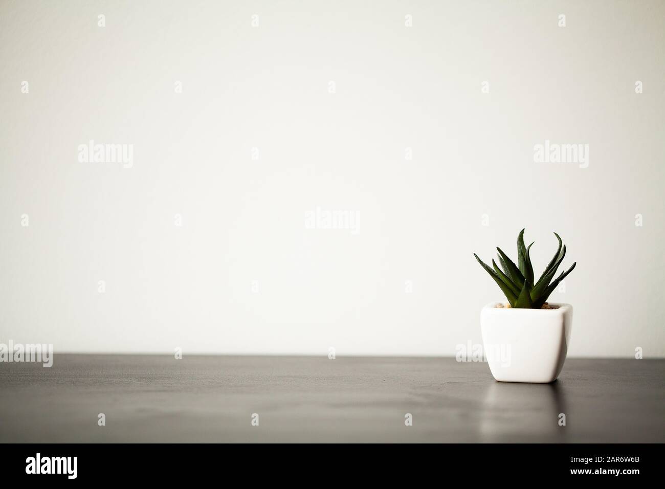 Spa. Piante succulente sul davanzale in bagno moderno Foto Stock