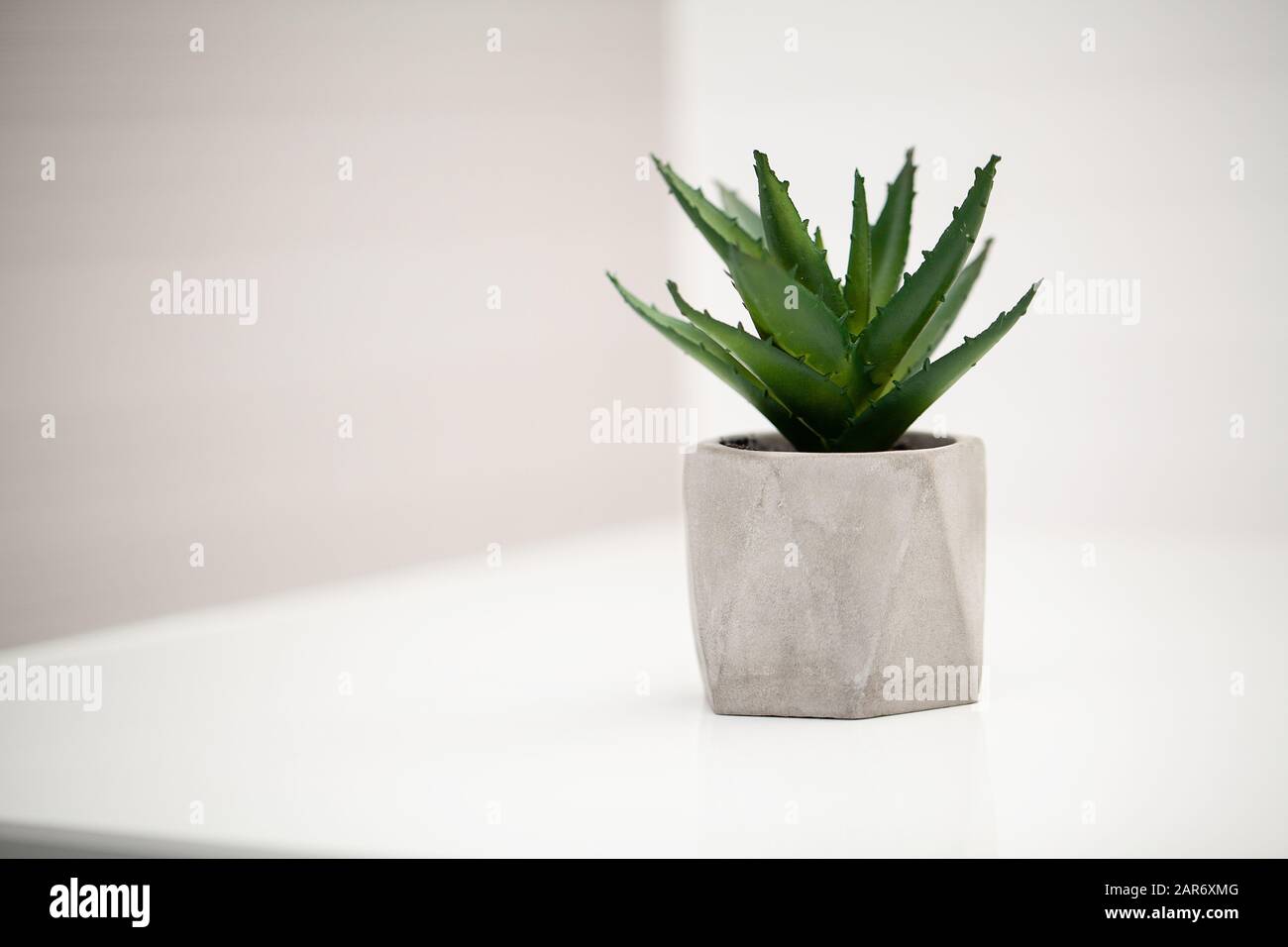 Spa. Piante succulente sul davanzale in bagno moderno Foto Stock