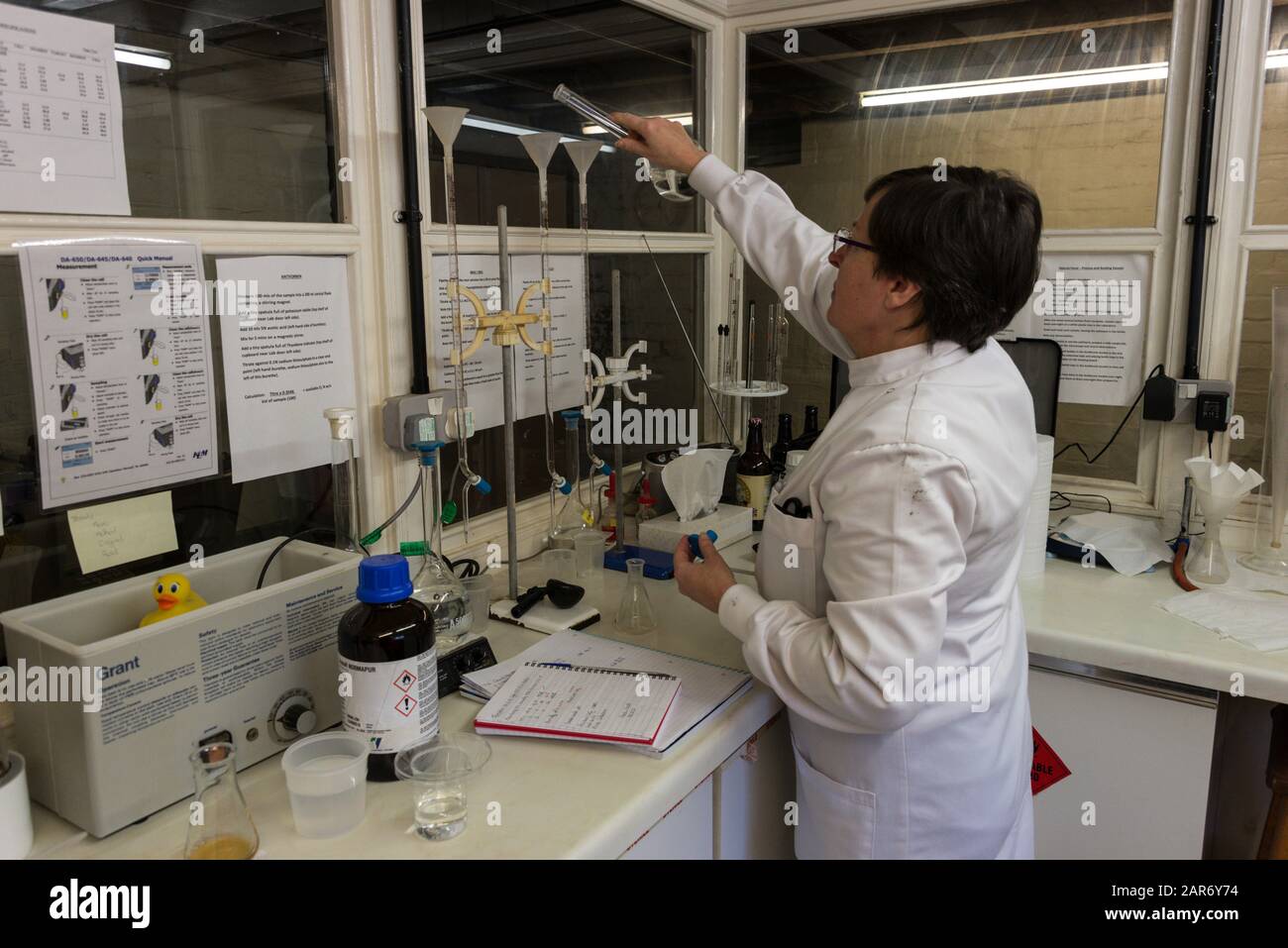 Un tecnico di laboratorio che esamina gli ingredienti della birra presso La famiglia ganci Norton Brewery fondata nel 1849, nel villaggio di Hook Norton villaggio i Foto Stock