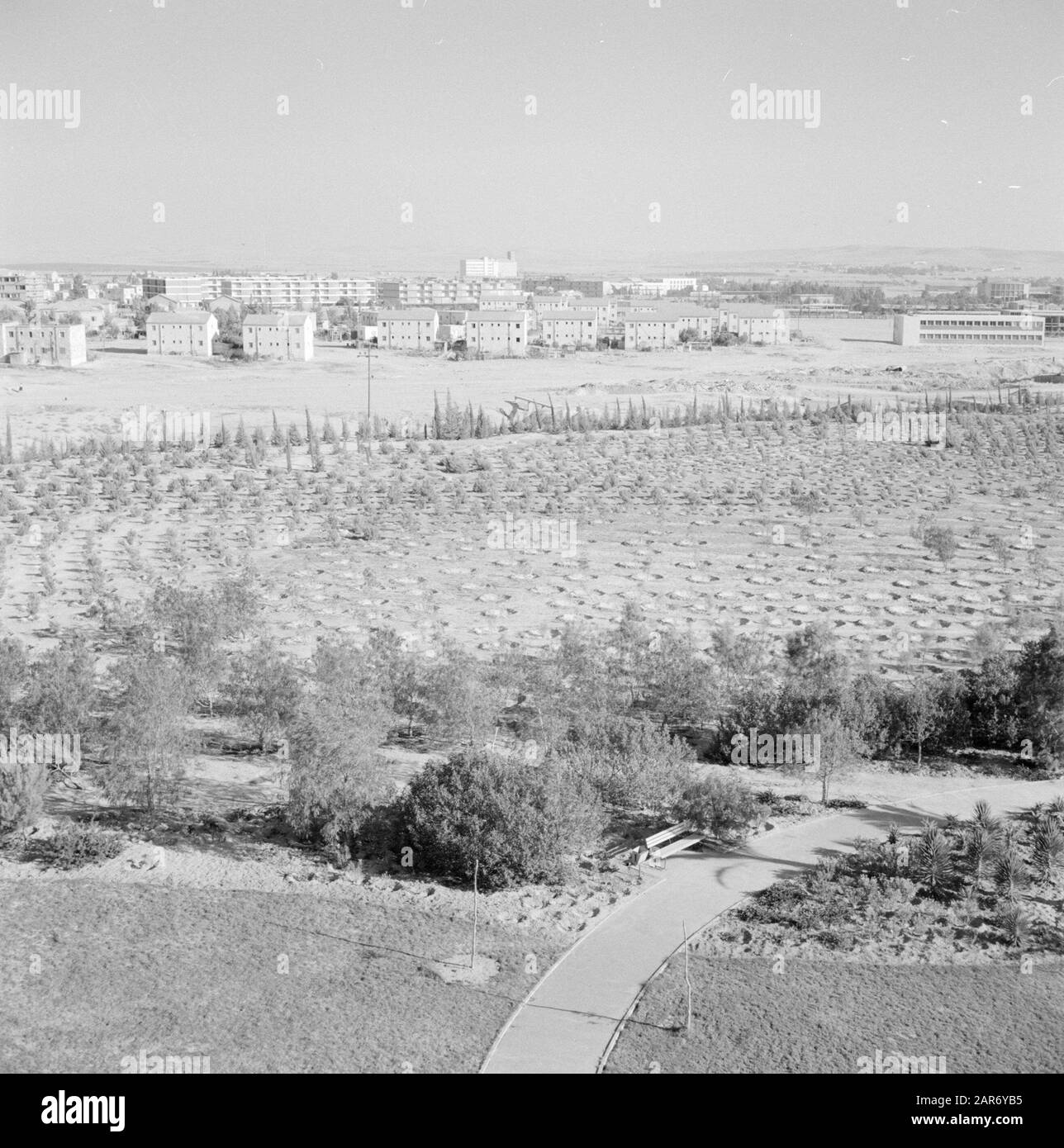 Israele: Bersjeba nuovo impianto alla periferia di Bersheba Data: Non ondata posizione: Bersheba, Israele Parole Chiave: Alberi, arbusti, panorami, urbanismo Foto Stock Israele: Bersjeba nuovo impianto alla periferia di Bersheba Data: Non ondata posizione: Bersheba, Israele Parole Chiave: Alberi, arbusti, panorami, urbanismo Foto Stock