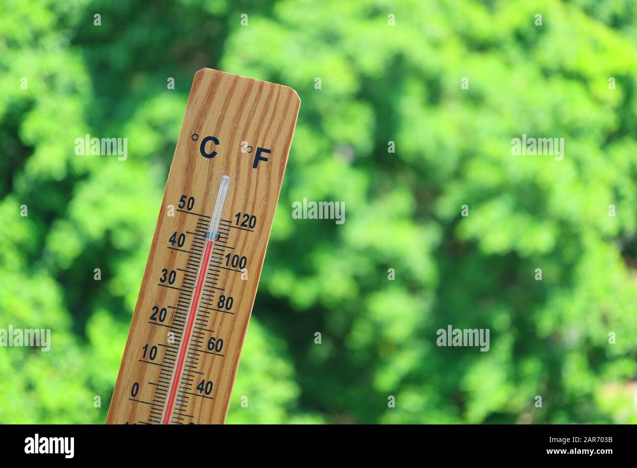 Termometro con temperatura elevata a 44 gradi celsius contro il verde del fogliame alla luce del sole Foto Stock