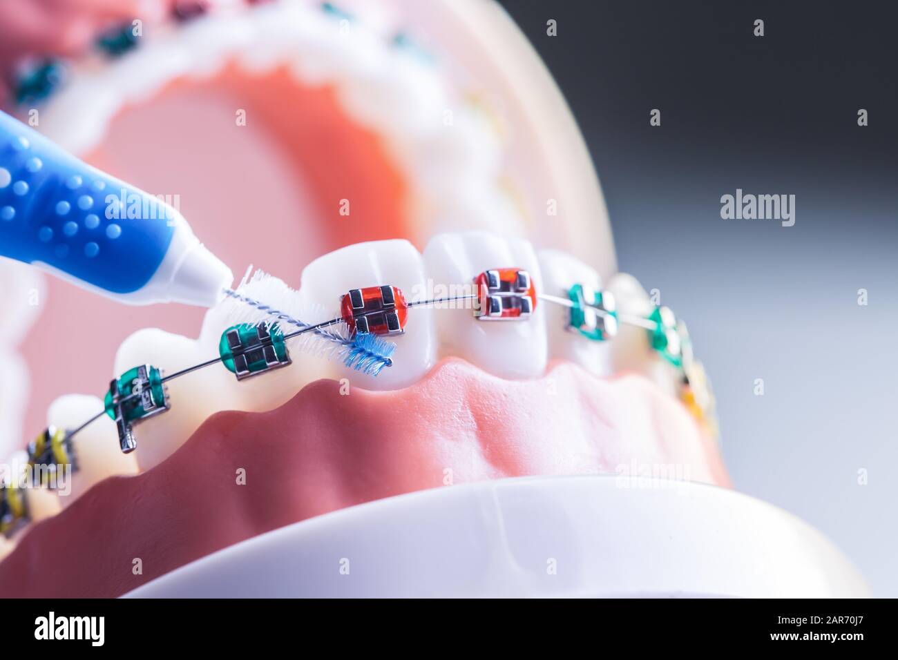 Modello di dente da denti dentari con spazzola per pulizia denti interdentali Foto Stock