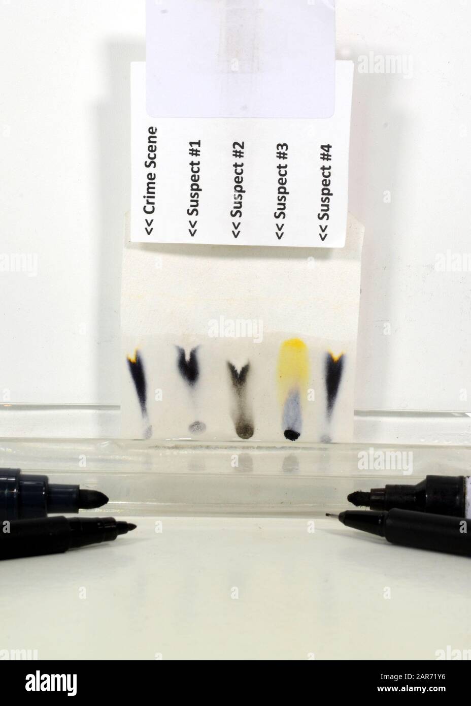 Cromatografia di 4 diversi marcatori contro una prova 'scena criminale'. I pigmenti si separano in modi diversi e unici, in quanto un solvente assorbe una polvere di carta Foto Stock