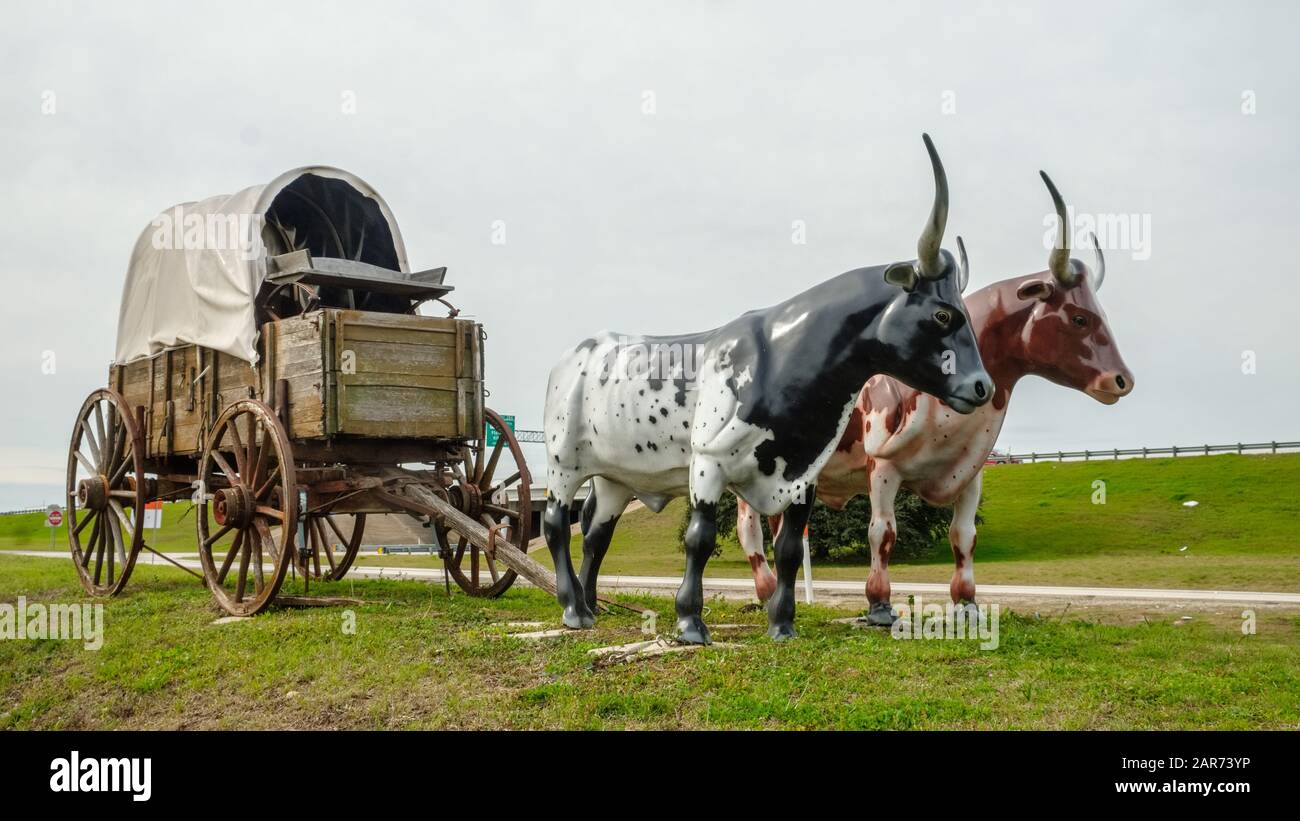 Georgetown, Tx - Replica del carro coperto del pioniere americano con la coppia del bestiame di longhorn usato per tirare il carro. Foto Stock