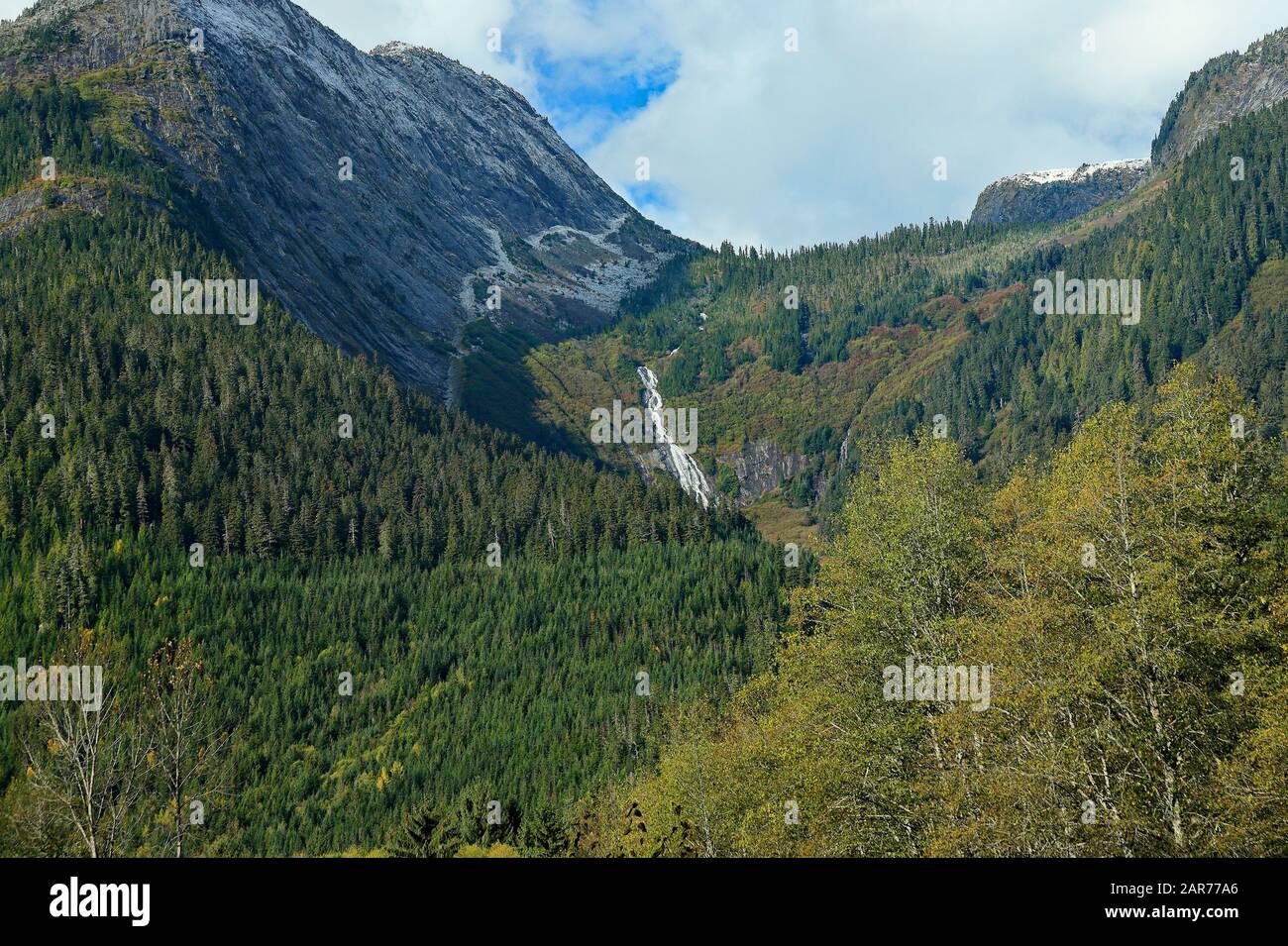 Una piccola cascata in una valle boscosa nelle Montagne Rocciose della British Columbia Foto Stock