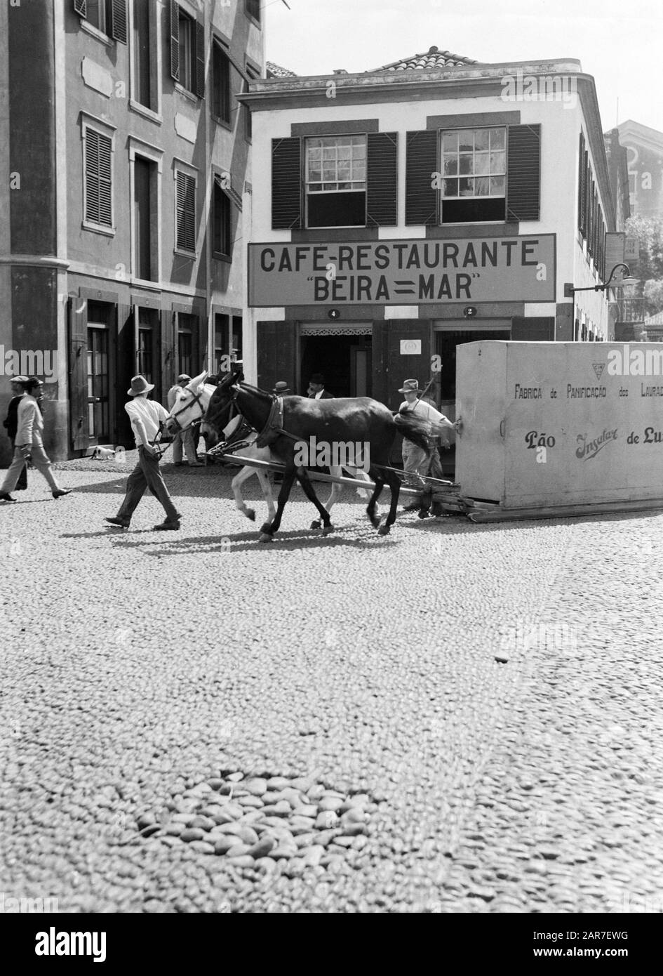 Madeira Cavallo in una strada sull'isola di Madeira Data: 1934 Località: Madeira Parole Chiave: Immagini di strada, trasporto Nome dell'istituzione: KNsm Foto Stock