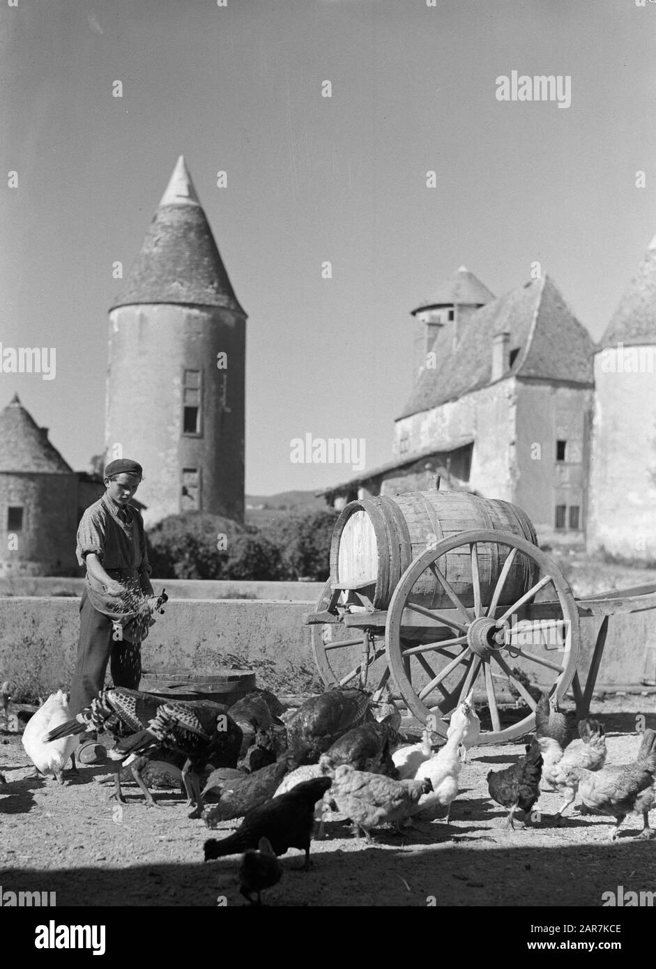 Regioni del vino - Beaujolais pollame alimentazione, con in background Chateau d'Arginy a Charentay Data: 1935 Località: Francia Parole Chiave: Castelli, pollame Foto Stock