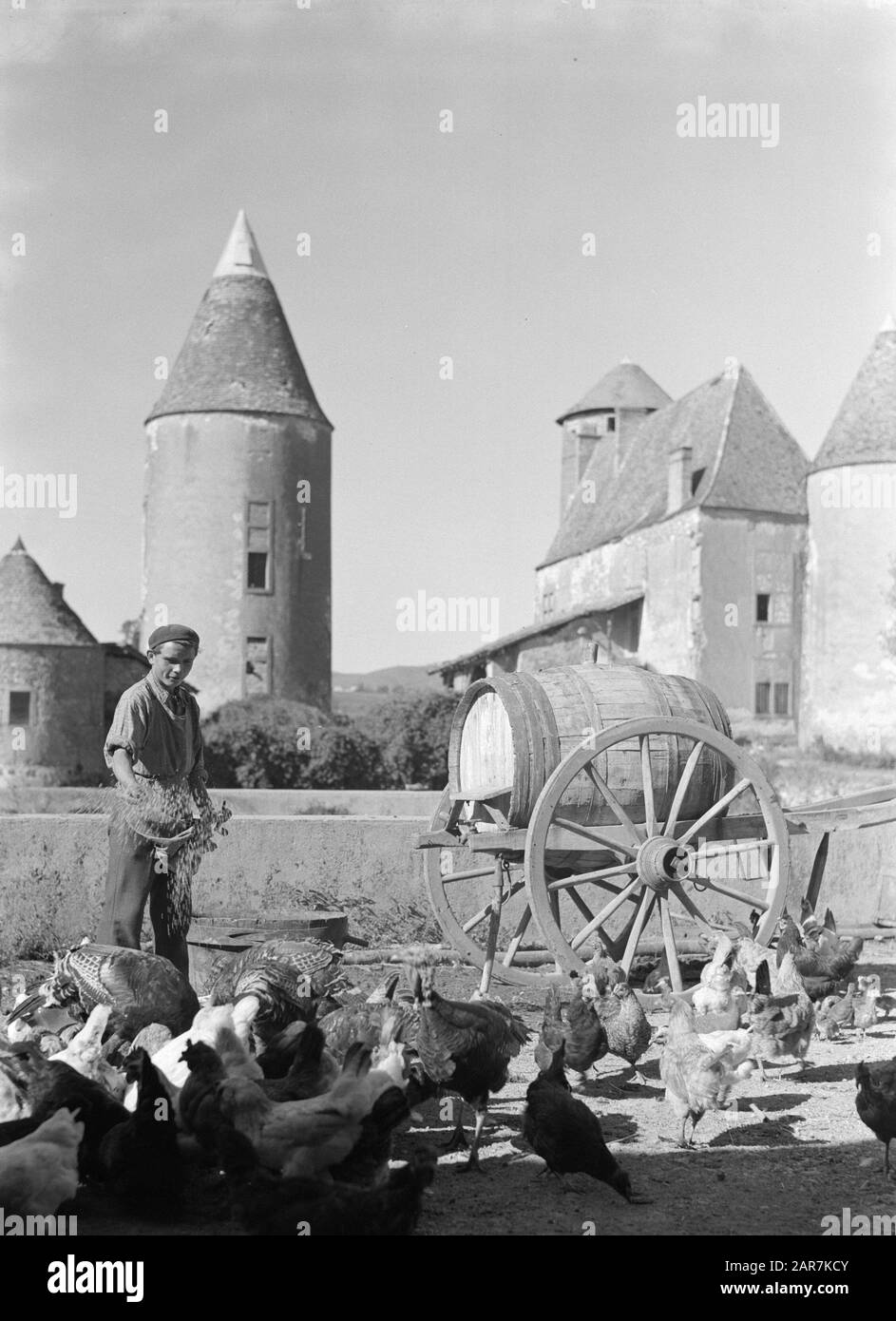 Regioni del vino - Beaujolais pollame alimentazione, con in background Chateau d'Arginy a Charentay Data: 1935 Località: Francia Parole Chiave: Castelli, pollame Foto Stock