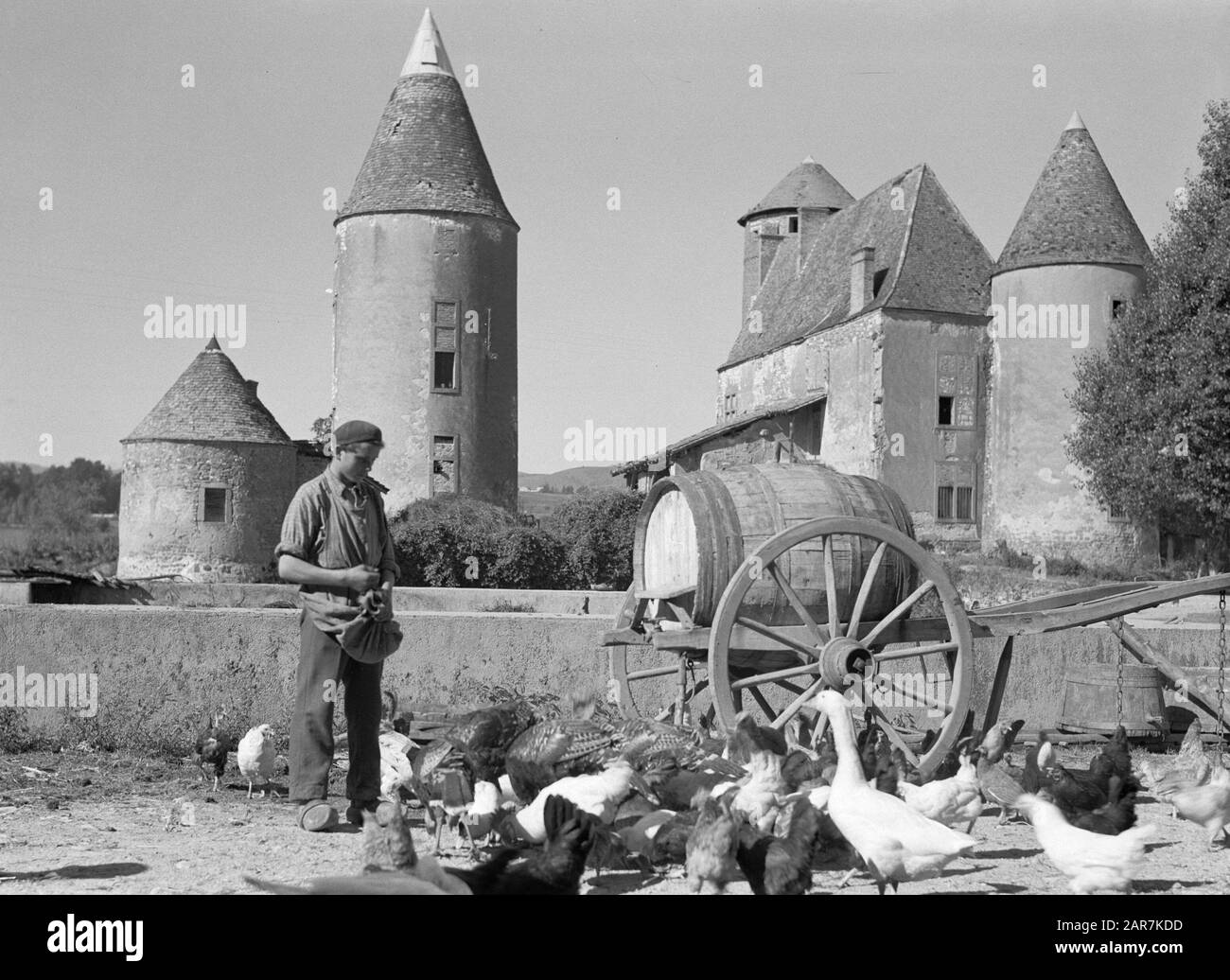 Regioni del vino - Beaujolais pollame alimentazione, con in background Chateau d'Arginy a Charentay Data: 1935 Località: Francia Parole Chiave: Castelli, pollame Foto Stock