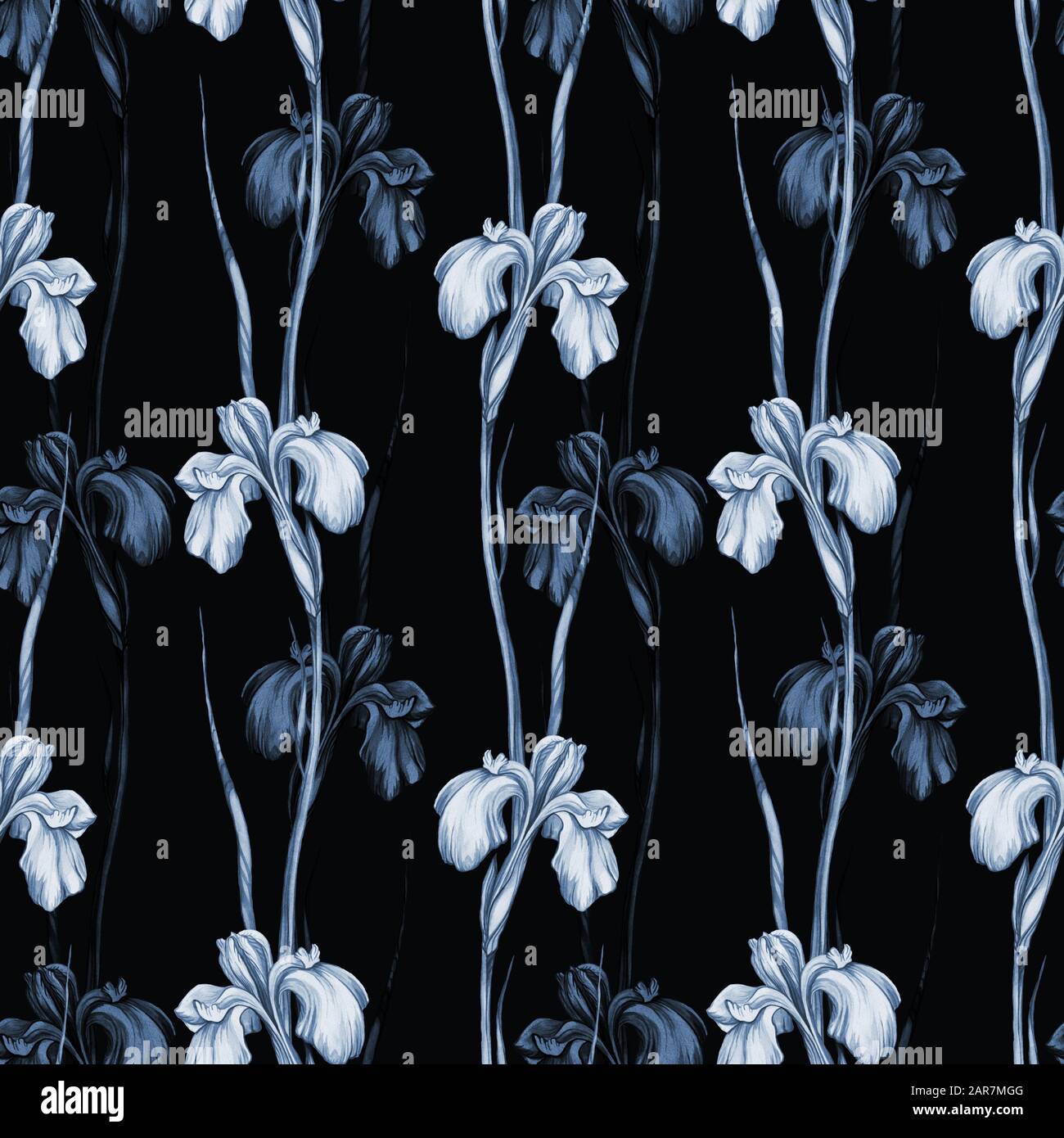 Disegno a mano Senza Cuciture watercolor con fiori di iride Foto Stock