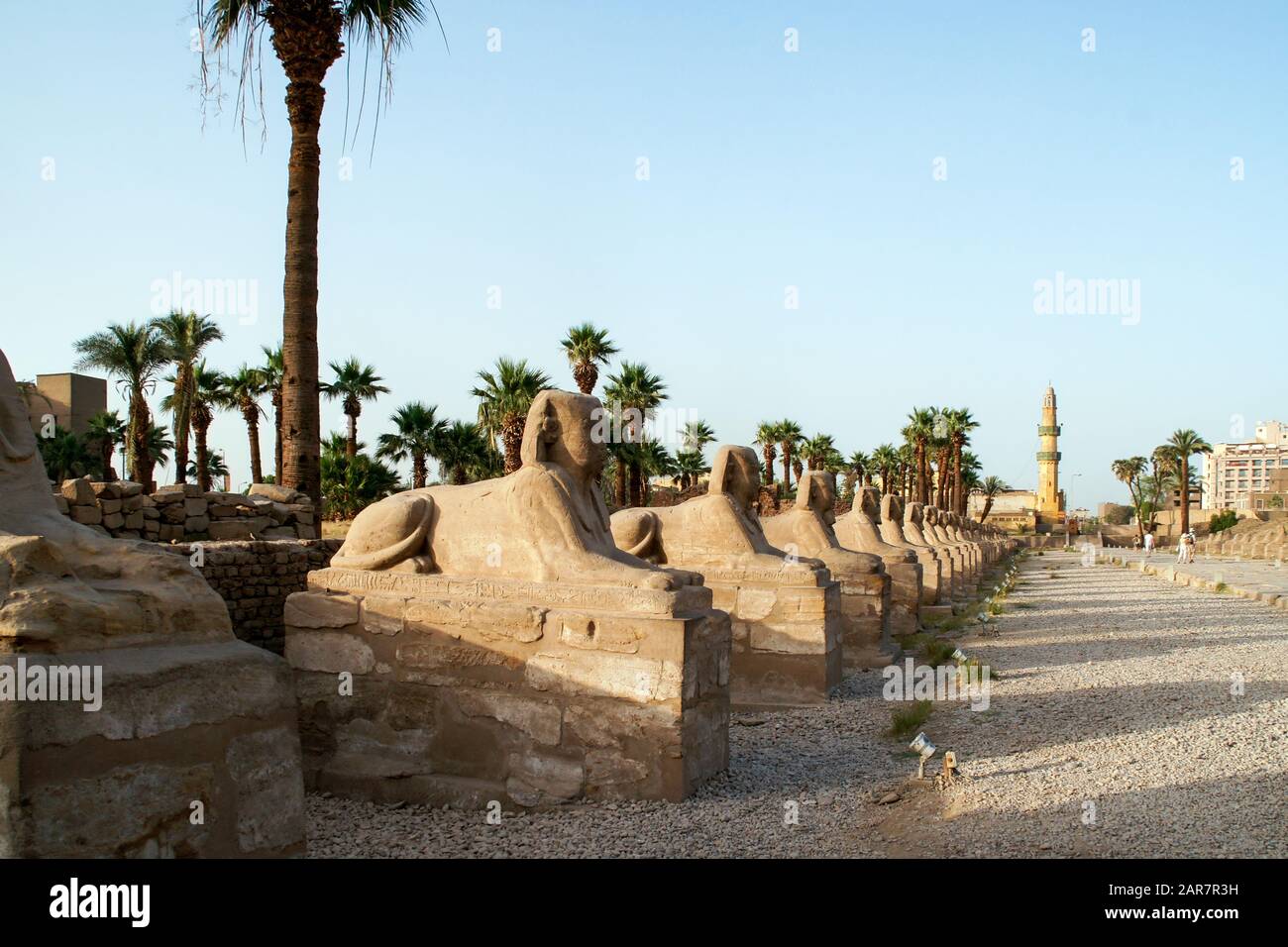 Egitto, Luxor, Tempio, معبد الاقصر; Tebe; Karnak. Viale degli sfingi umani diretti. Foto Stock