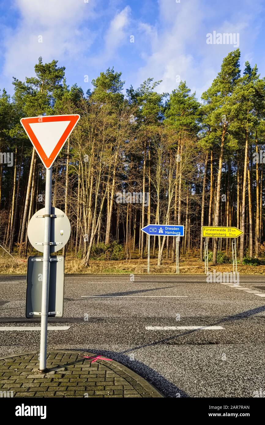 Futura Sede Di Tesla Gigafactory, Freienbrink, Gruenheide (Marco), Brandeburgo, Germania Foto Stock