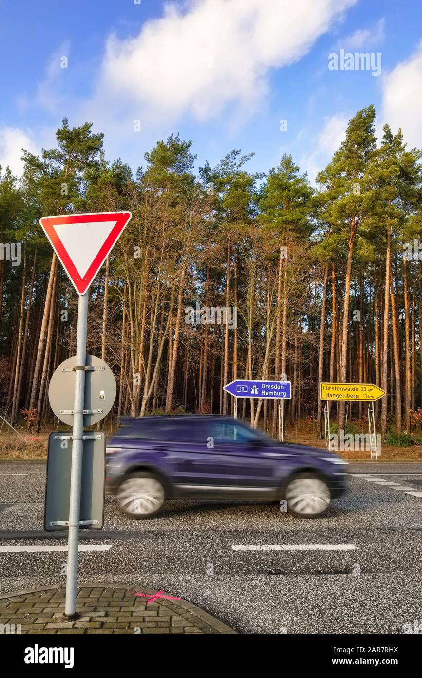 Futura Sede Di Tesla Gigafactory, Freienbrink, Gruenheide (Marco), Brandeburgo, Germania Foto Stock