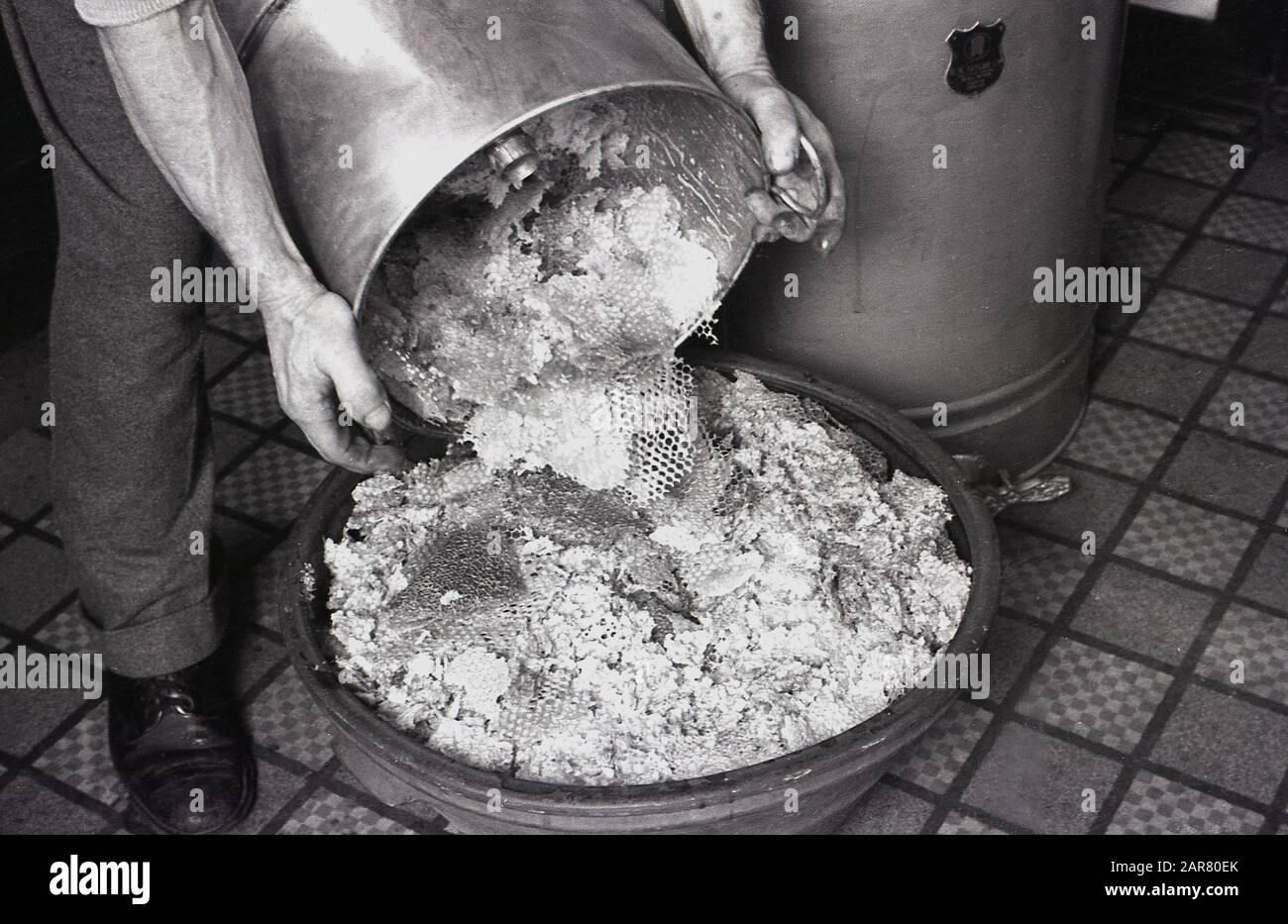 Anni '1950, storico, che produce idromele, miele crudo cristallizzato in un  contenitore di metallo, che viene messo in una ciotola poco profonda, nel  processo di produzione di idromele, un'antica bevanda alcolica, spesso