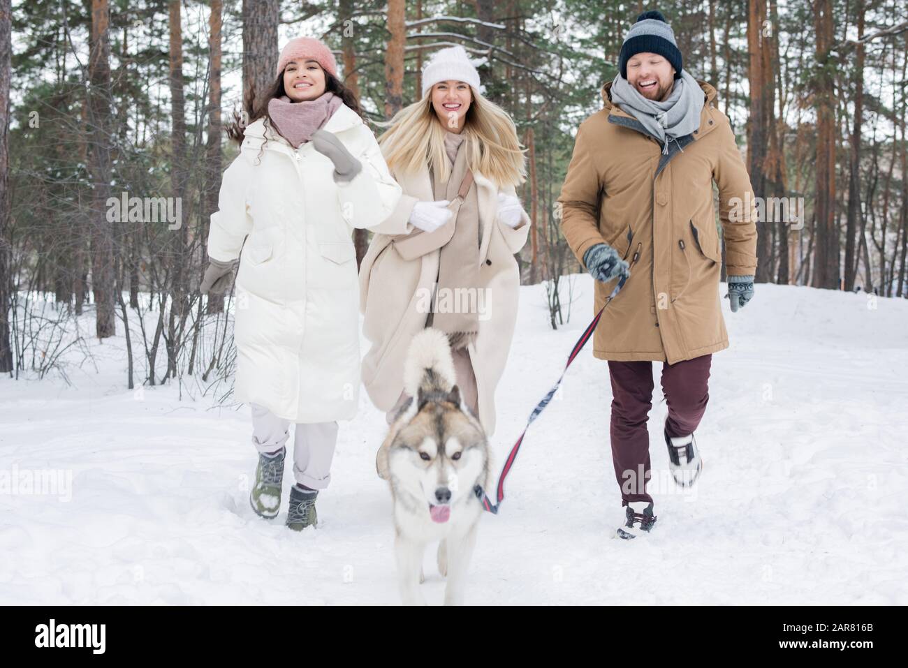 Allegre ragazze graziose e giovane uomo che corre sulla neve dopo il cane da Husky siberiano Foto Stock