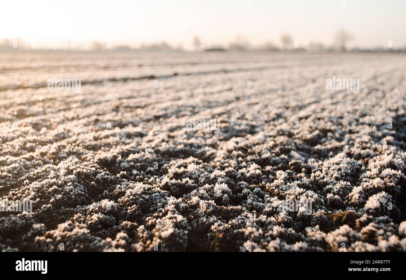 Terreno congelato con brina in un campo agricolo. Condizioni meteorologiche imprevedibili, destabilizzazione globale del clima. Previsioni del tempo e strategia del tempo di sviluppo per Foto Stock