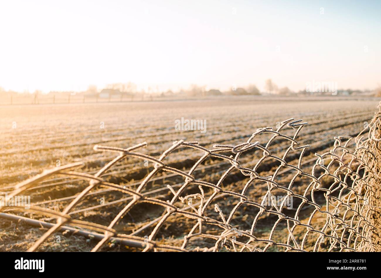 Campo di fattoria invernale attraverso la vista una recinzione di maglia. Bella alba in campagna. Gelo sulla griglia della recinzione, freddo gelido. Recinzione di proprietà e barriere di bestiame Foto Stock