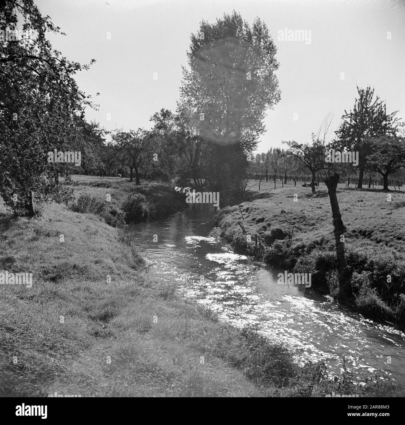 Zuid-Limburg River de Geul near Schin op Geul Data: 1 settembre 1952 Località: Limburg, Olanda, Schin op Geul Parole Chiave: Ruscelli, paesaggi Foto Stock