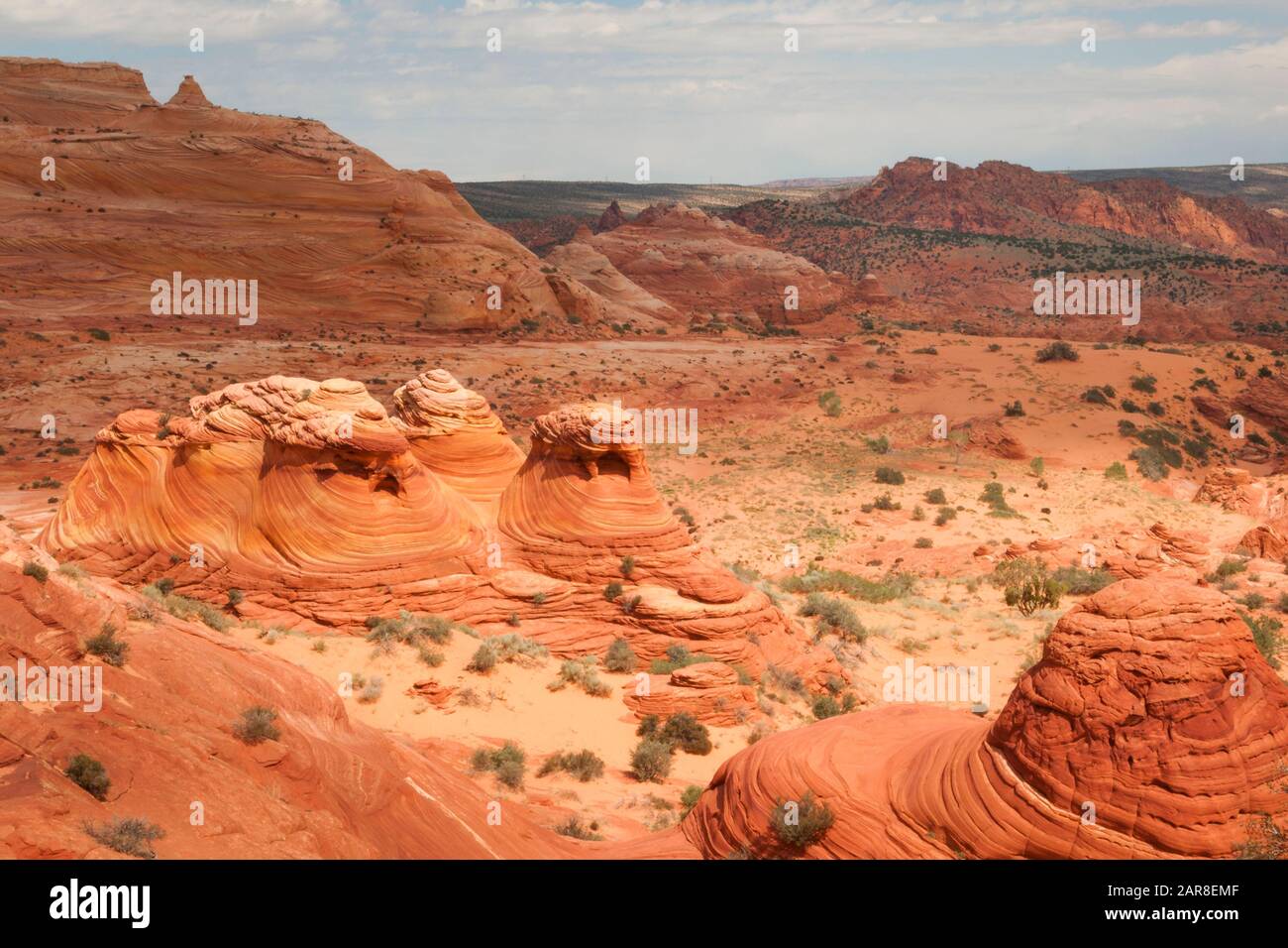 Panoramica delle formazioni di roccia rossa vicino alla destinazione DELLE ESCURSIONI A PIEDI D'ONDA a Coyote Butte nel nord dell'Arizona, Stati Uniti Foto Stock