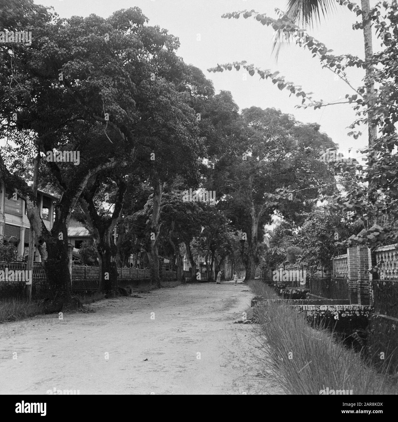 Viaggio in Suriname e Paesi Bassi Antilles Street a Saint-Laurent-du-Maronie in Guiana francese Annotazione: Saint-Laurent-du-Maronie è stata una colonia penale francese Data: 1947 posizione: Guyana francese, Saint-Laurent-du-Maronie Parole Chiave: Prigioni, immagini di strada Foto Stock