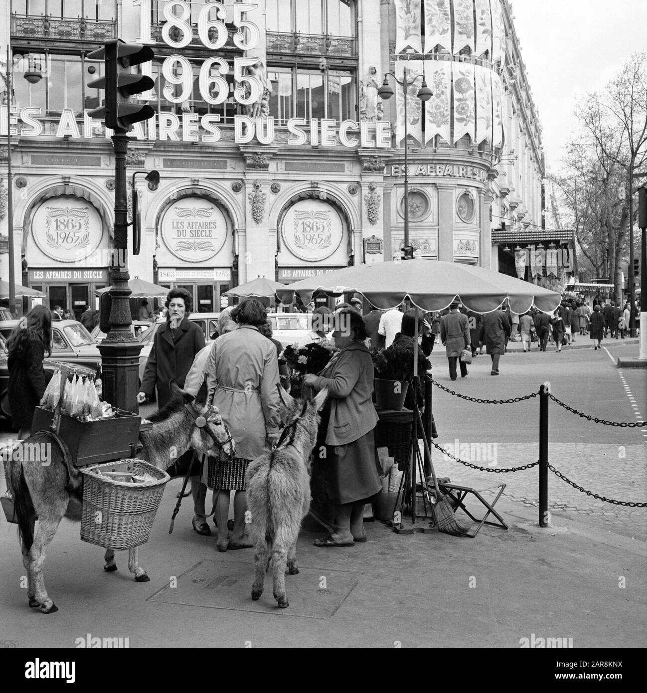 Pariser Bilder [la vita di strada di Parigi] Street saleswoman con asini di fronte al grande magazzino Printemps Data: 1965 Località: Francia, Parigi Parole Chiave: Asini, statue di strada, venditori di strada, grandi magazzini Nome personale: Printemps Foto Stock